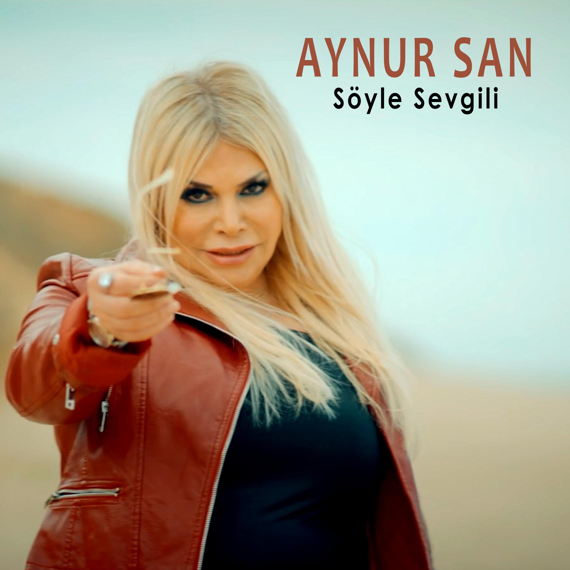 Постер альбома Söyle Sevgili