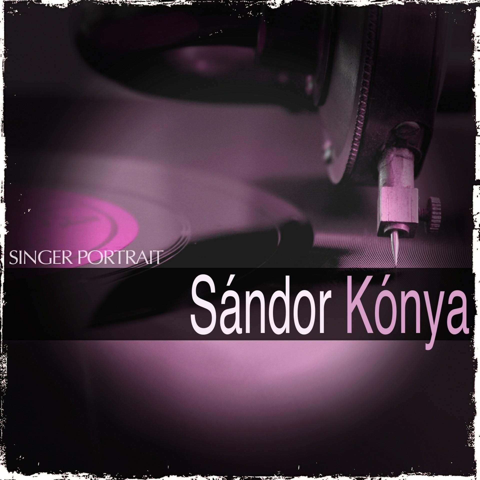 Постер альбома Singer Portrait: Sándor Kónya