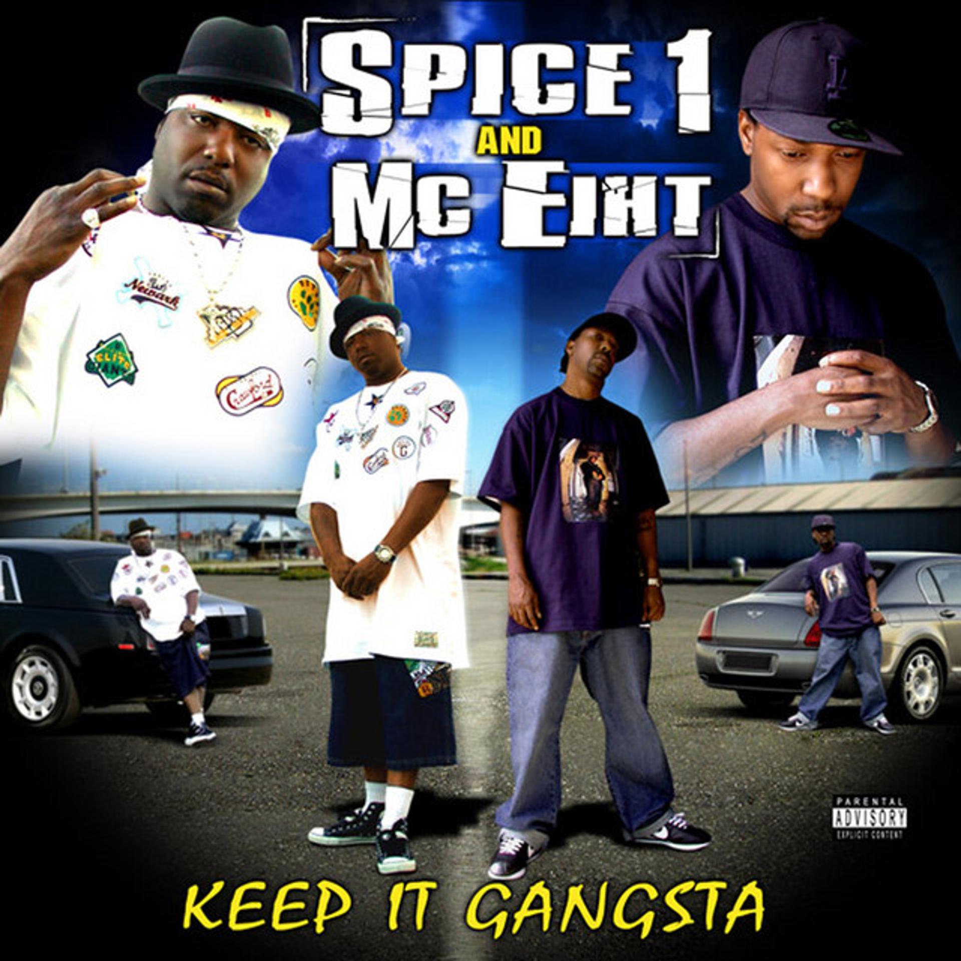 Постер альбома Keep It Gangsta (Special Edition)