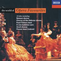 Постер альбома The World of Opera Favourites