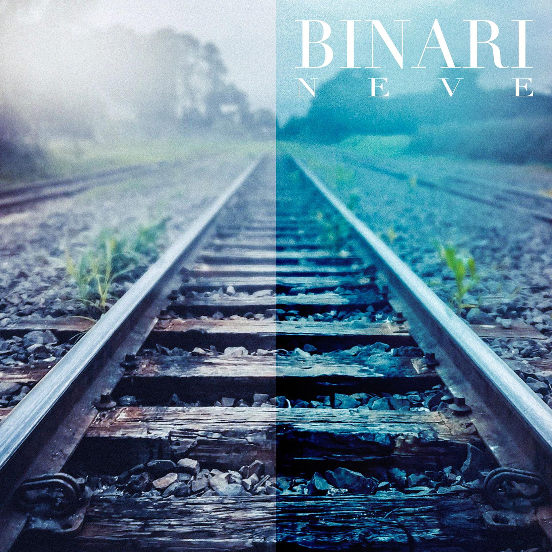 Постер альбома Binari