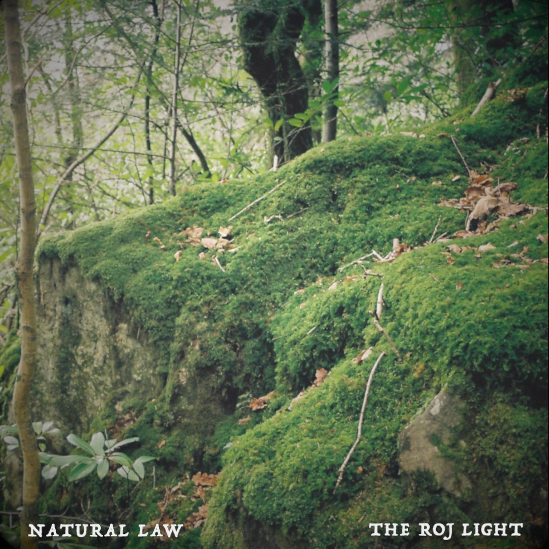 Постер альбома Natural Law