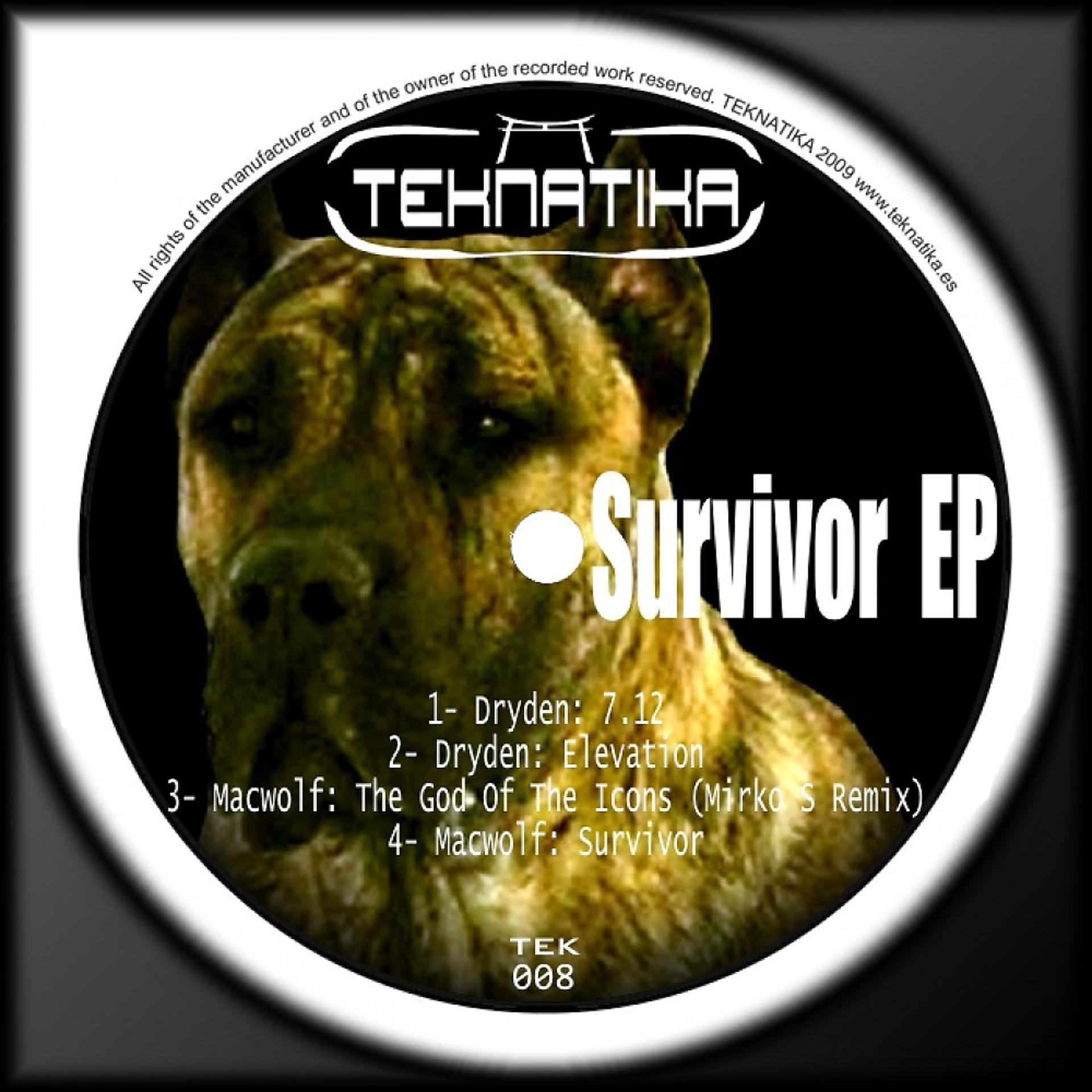 Постер альбома Survivor EP
