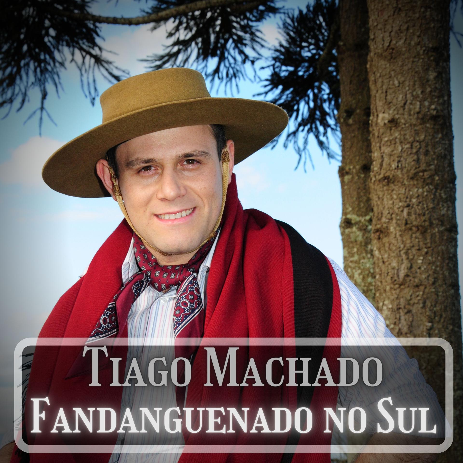 Постер альбома Fandagueando no Sul