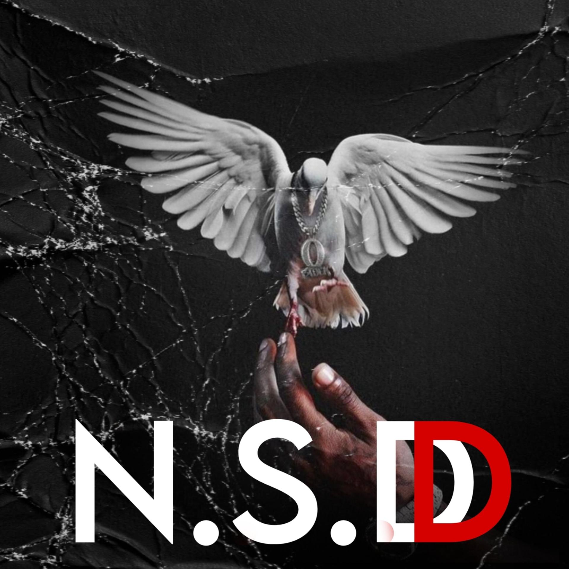 Постер альбома N.S.D
