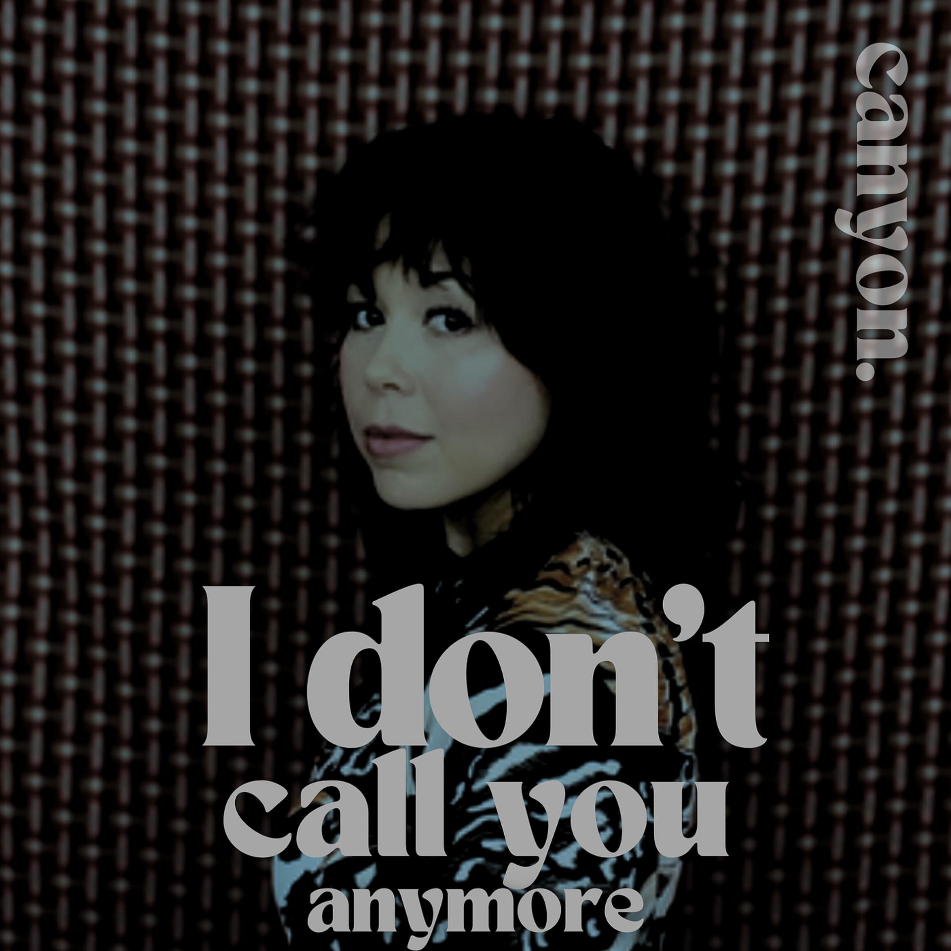 Постер альбома I Don't Call You Anymore