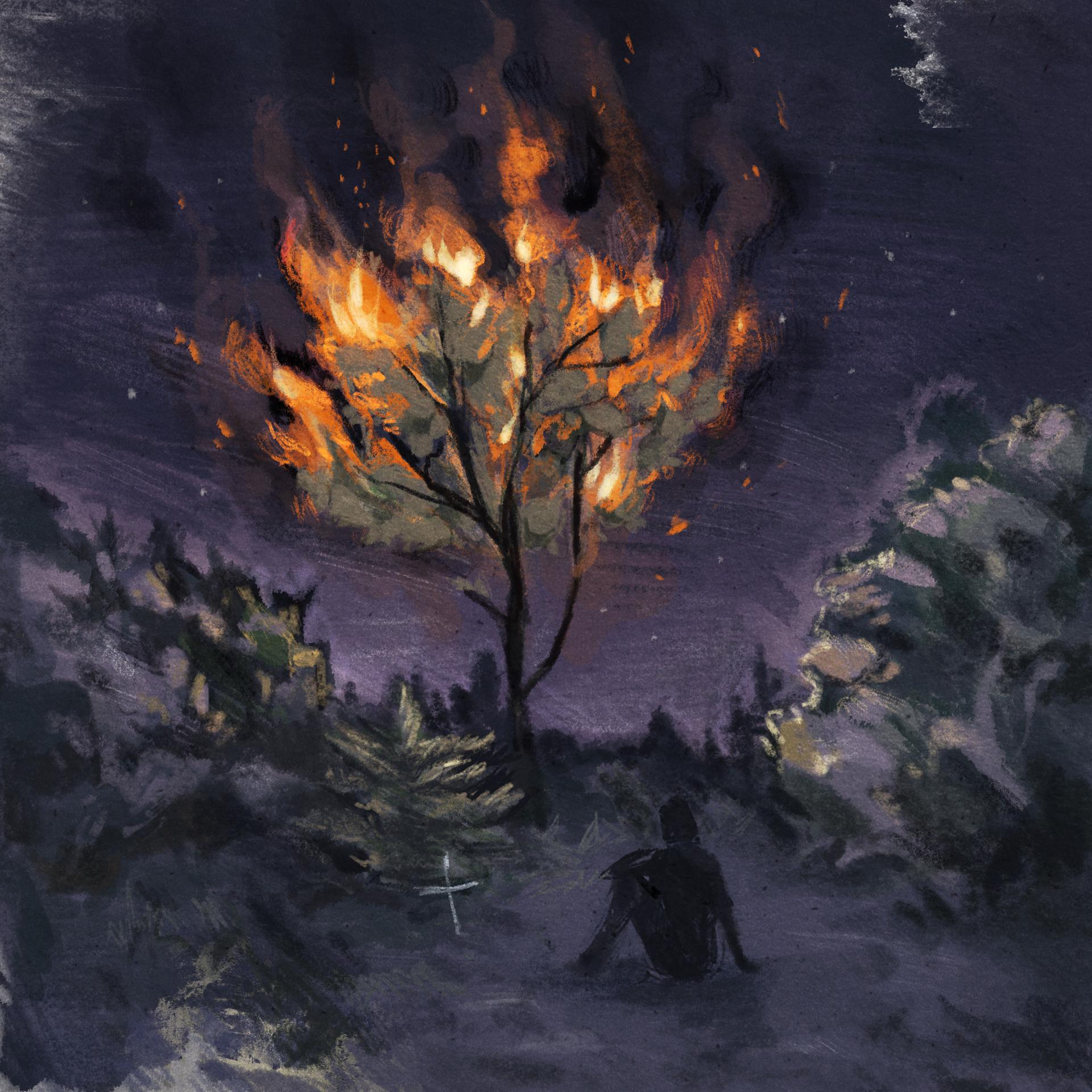 Постер альбома Сожгу дерево