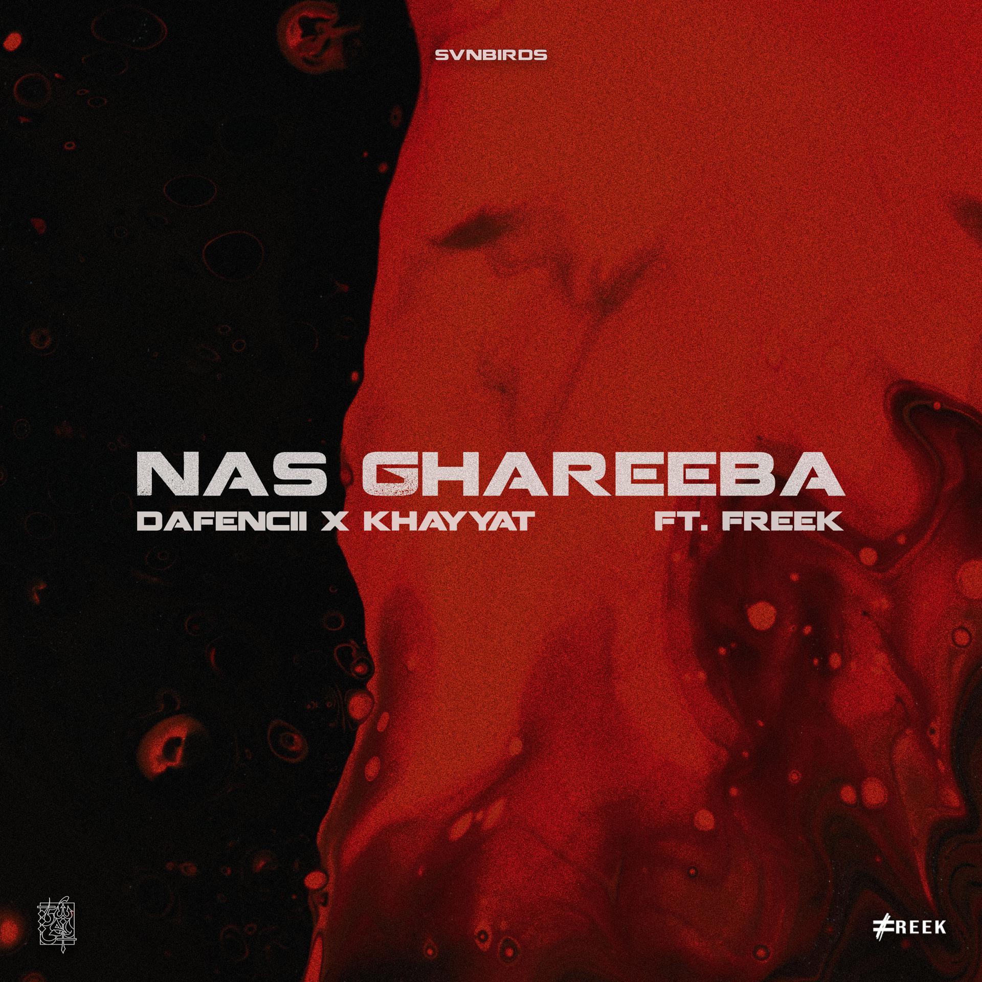 Постер альбома Nas Ghareeba (feat. Freek)