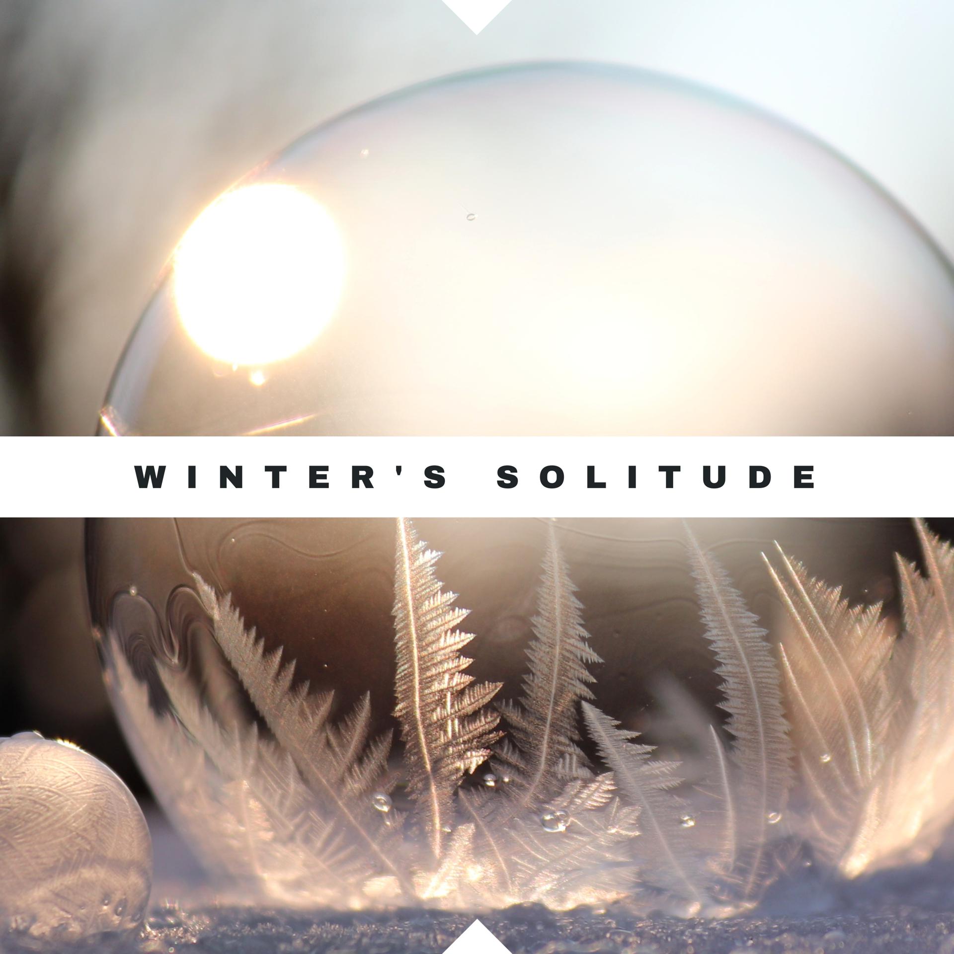 Постер альбома Winter's Solitude