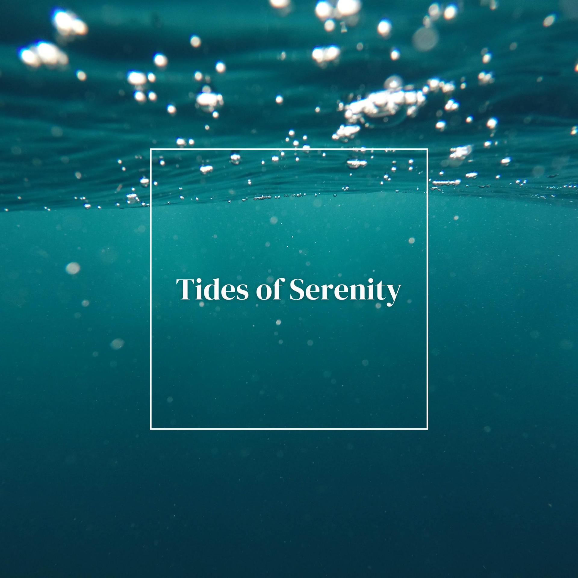 Постер альбома Tides of Serenity
