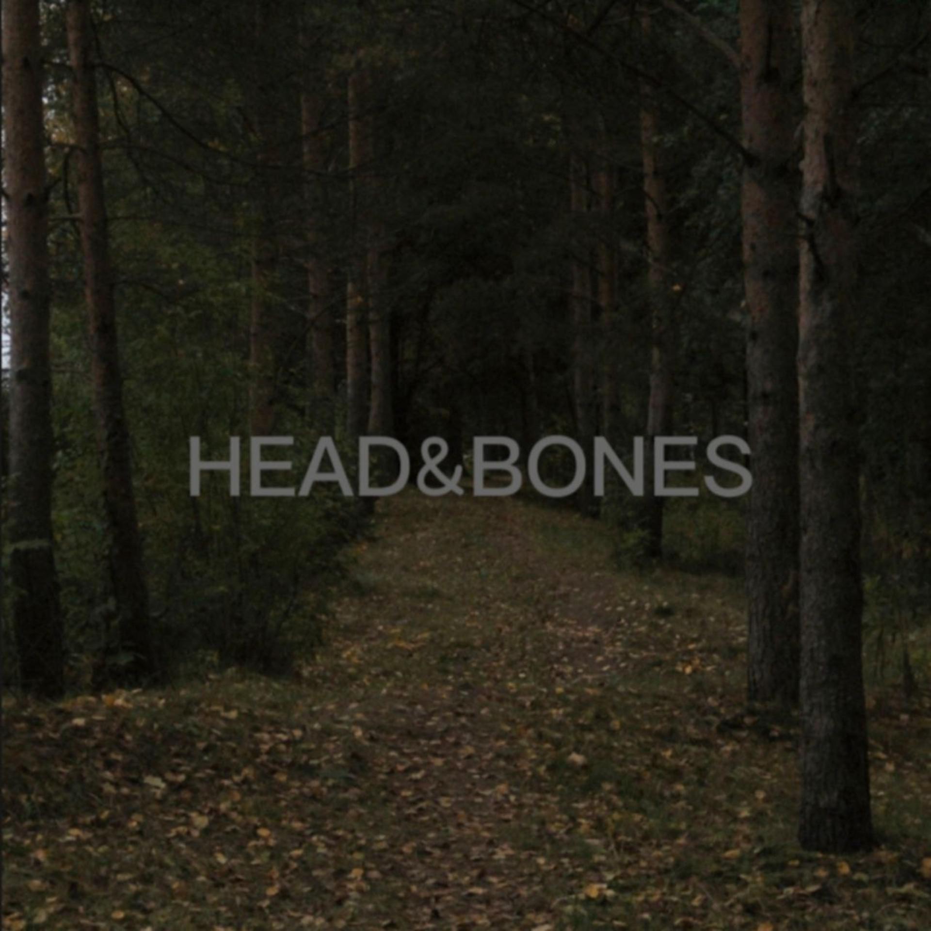 Постер альбома Head&bones