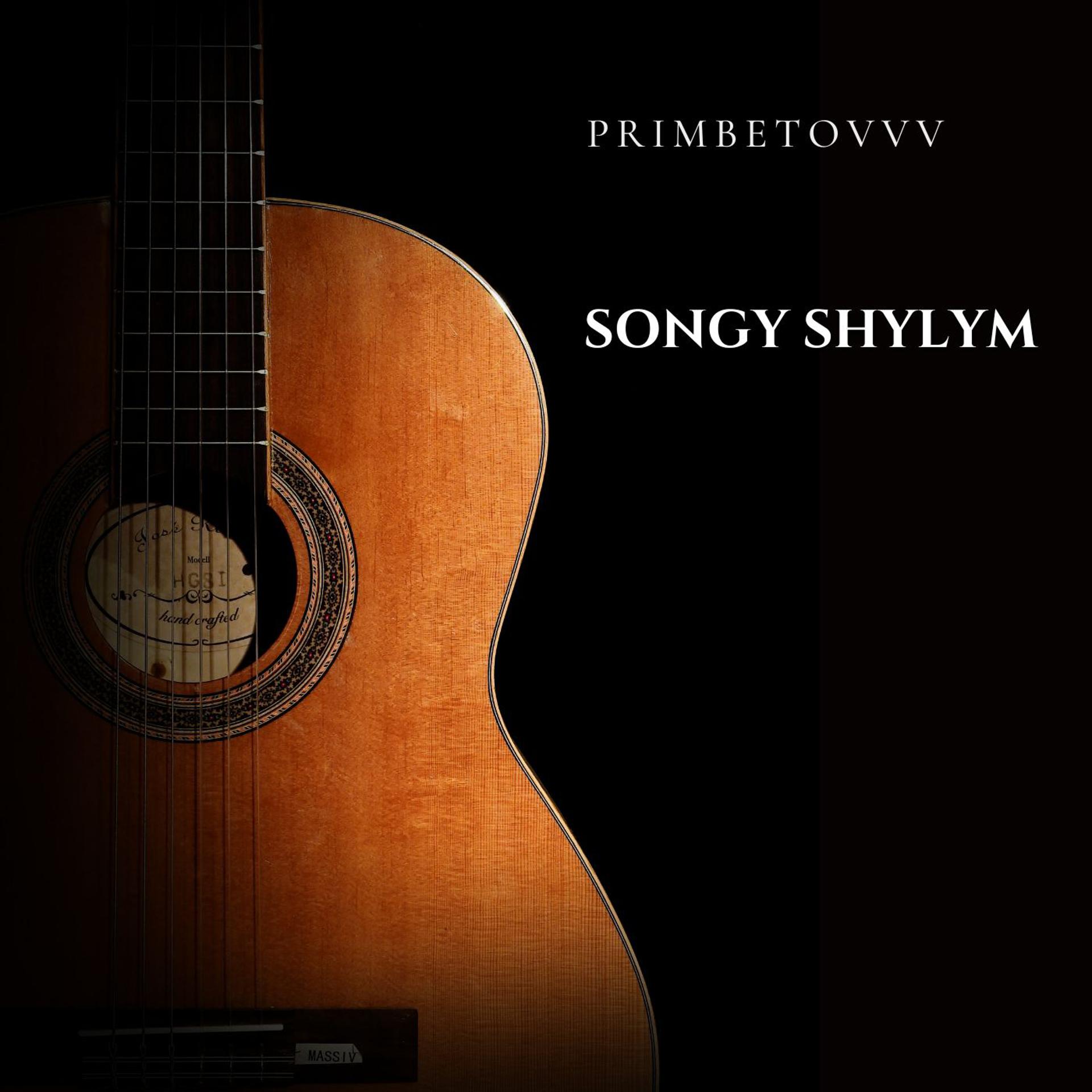 Постер альбома SONGY SHYLYM
