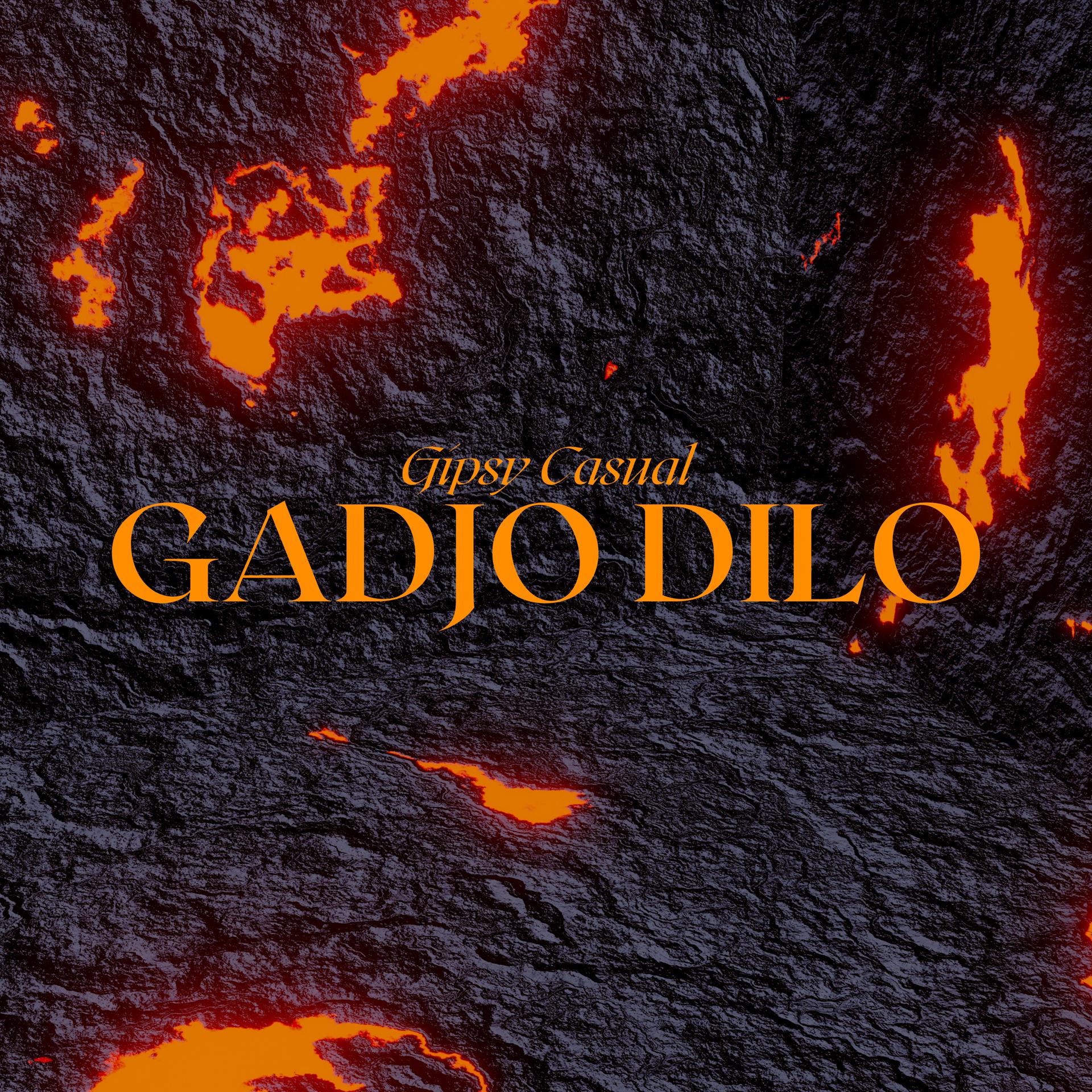Постер альбома Gadjo Dilo