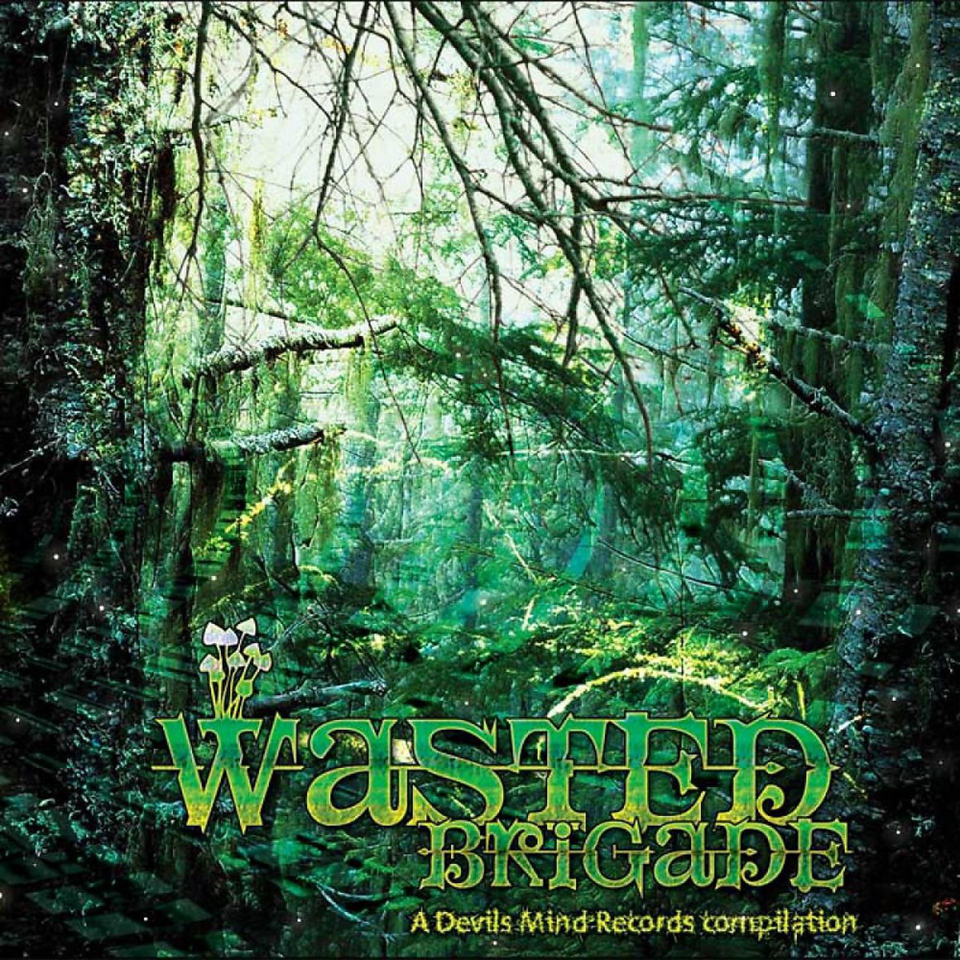 Постер альбома Wasted Brigade