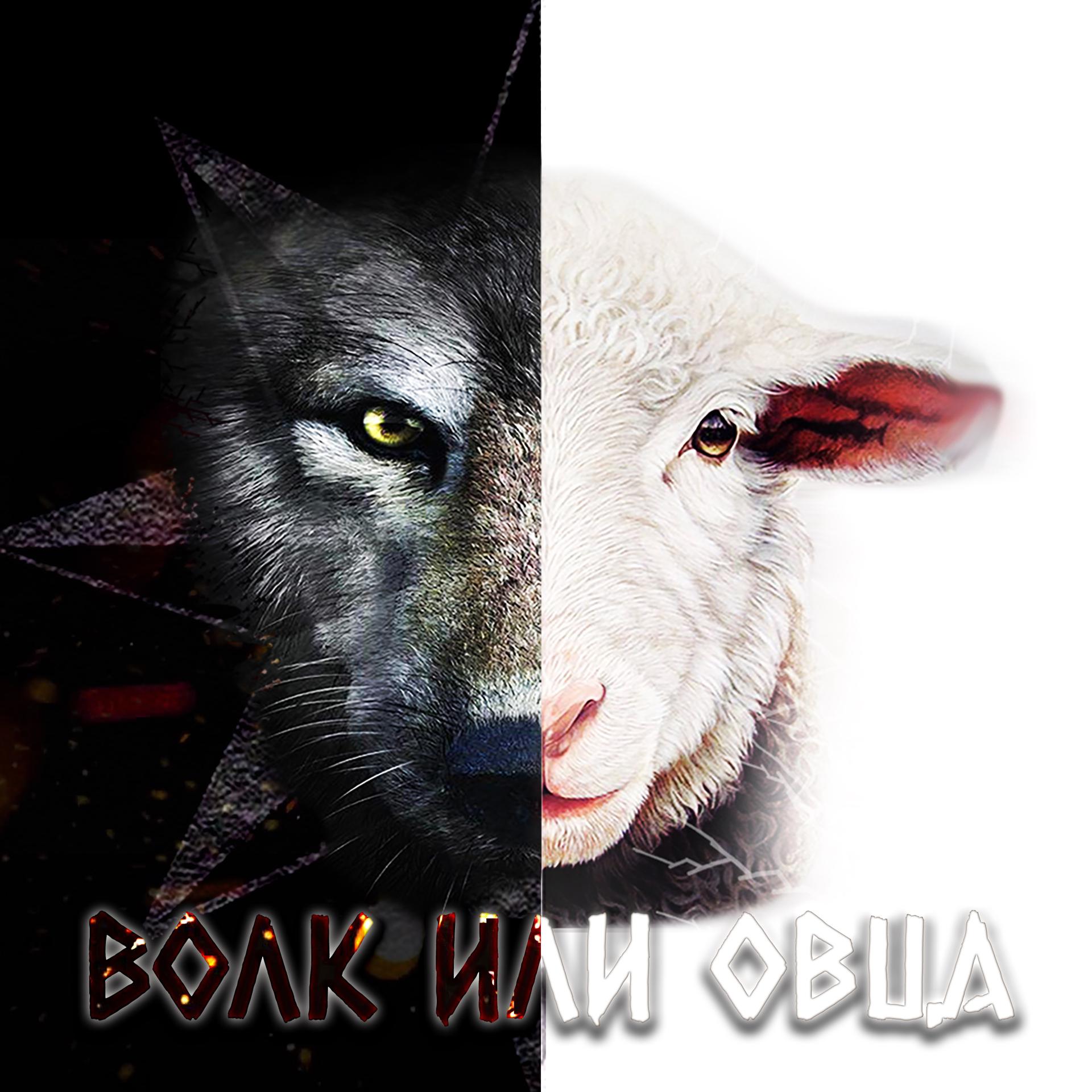Постер альбома Волк или овца (prod. by Bruks)