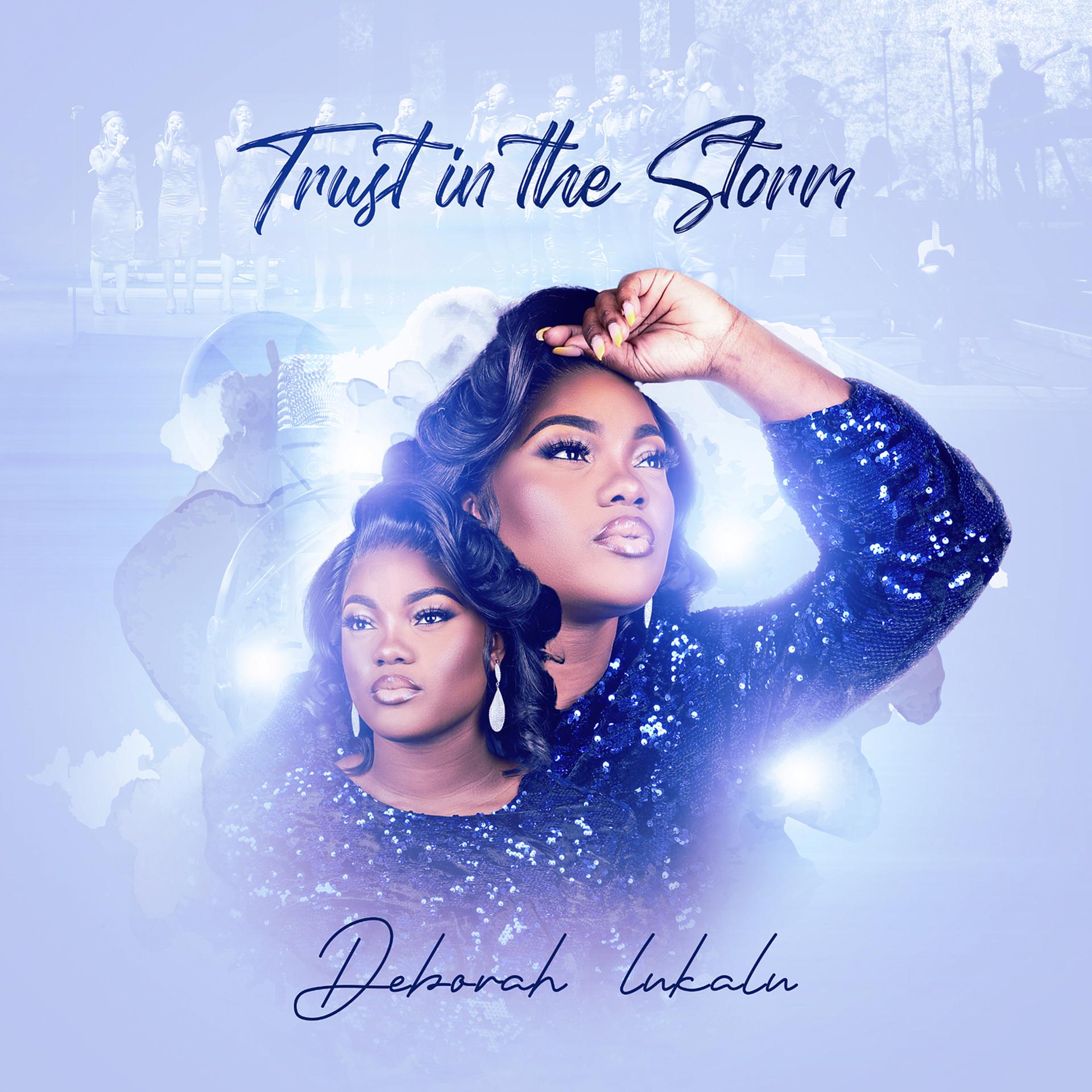 Постер альбома Trust in the Storm