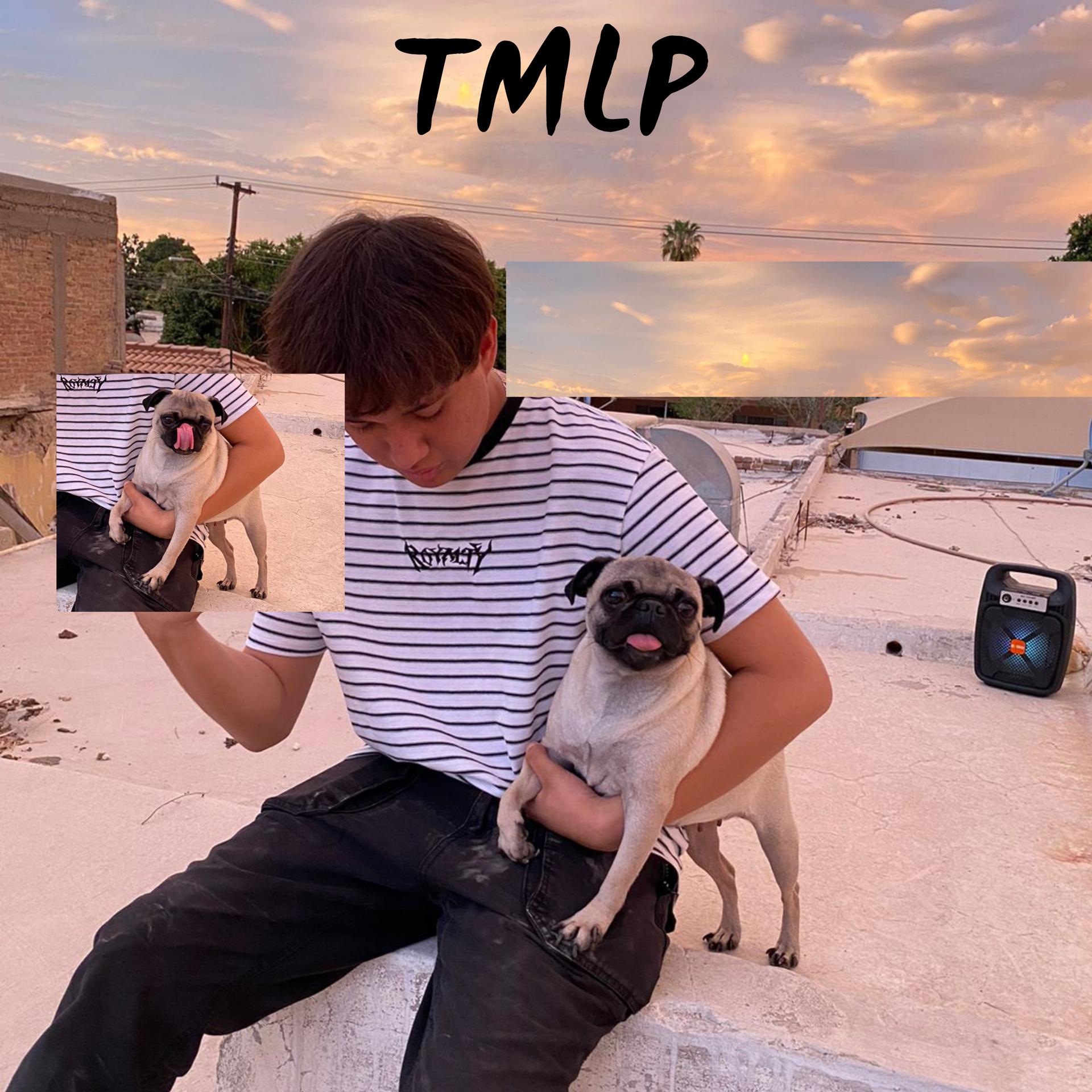 Постер альбома Tmlp
