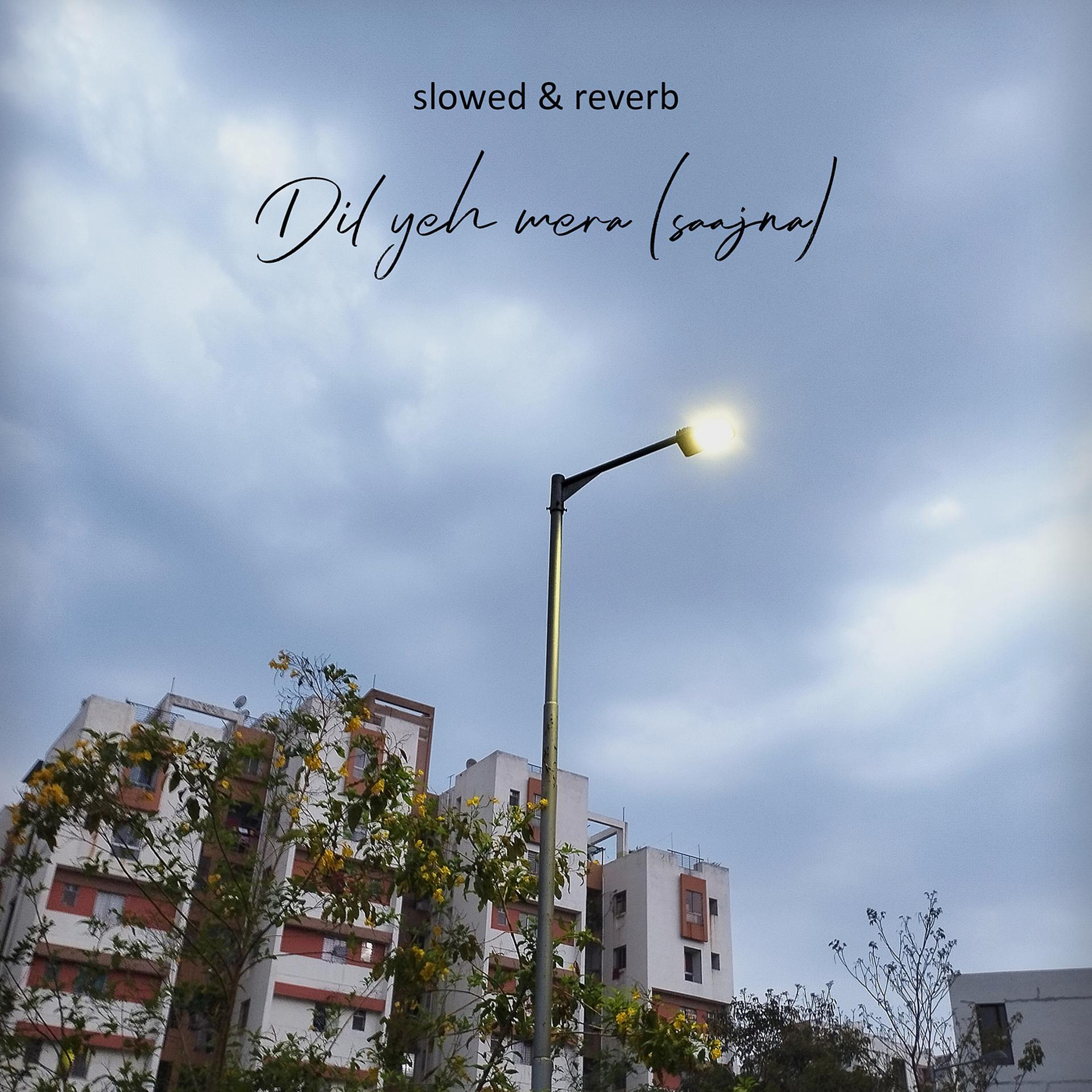 Постер альбома Dil Yeh Mera (Saajna) Slowed + Reverb
