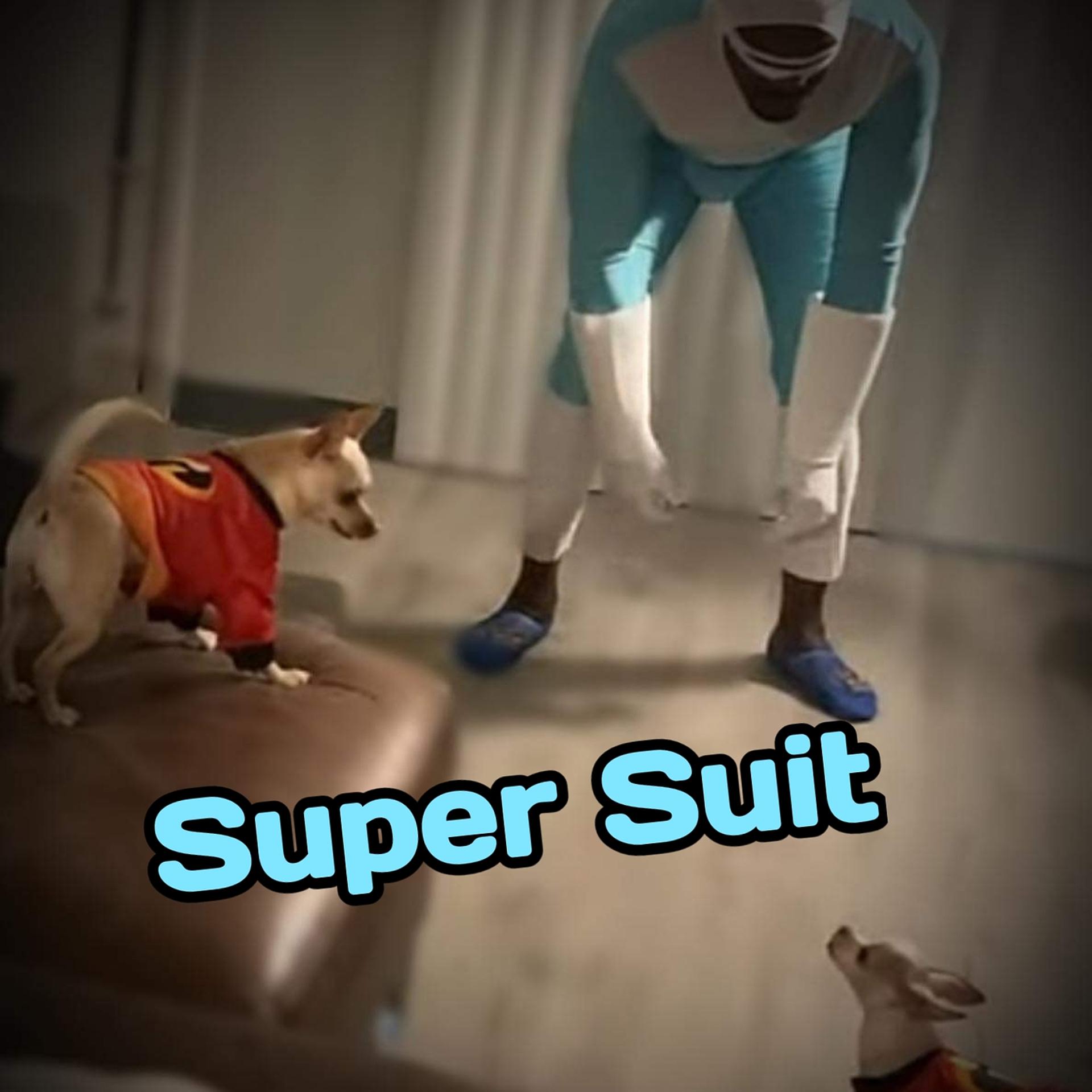 Постер альбома Super Suit