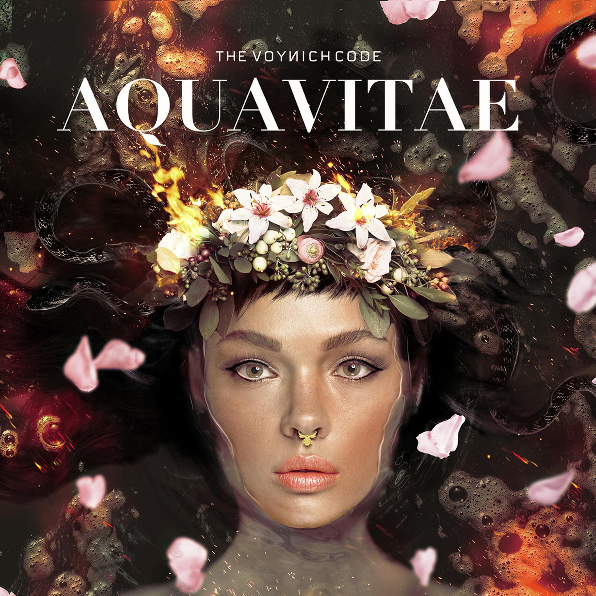 Постер альбома Aqua Vitae