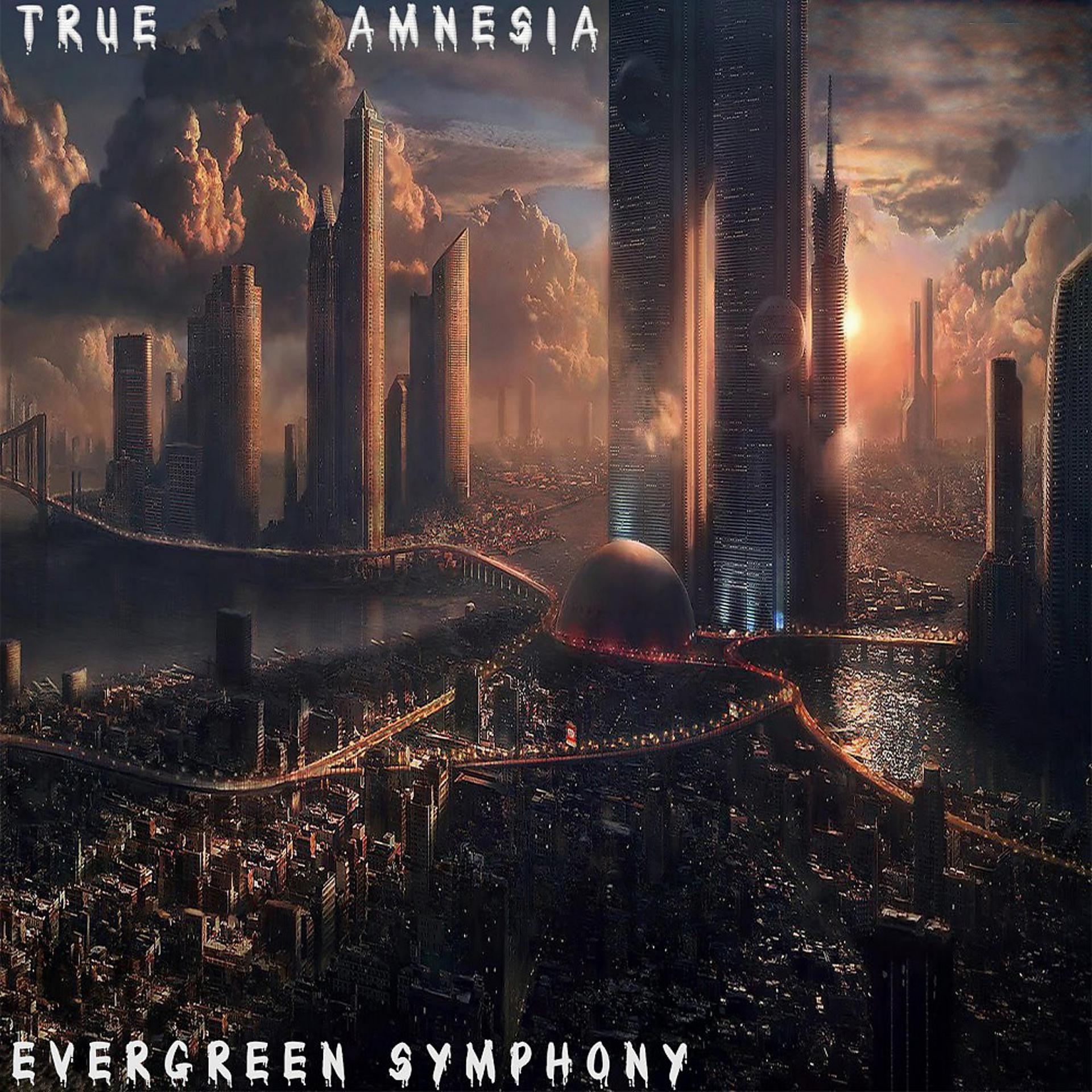 Постер альбома True Amnesia