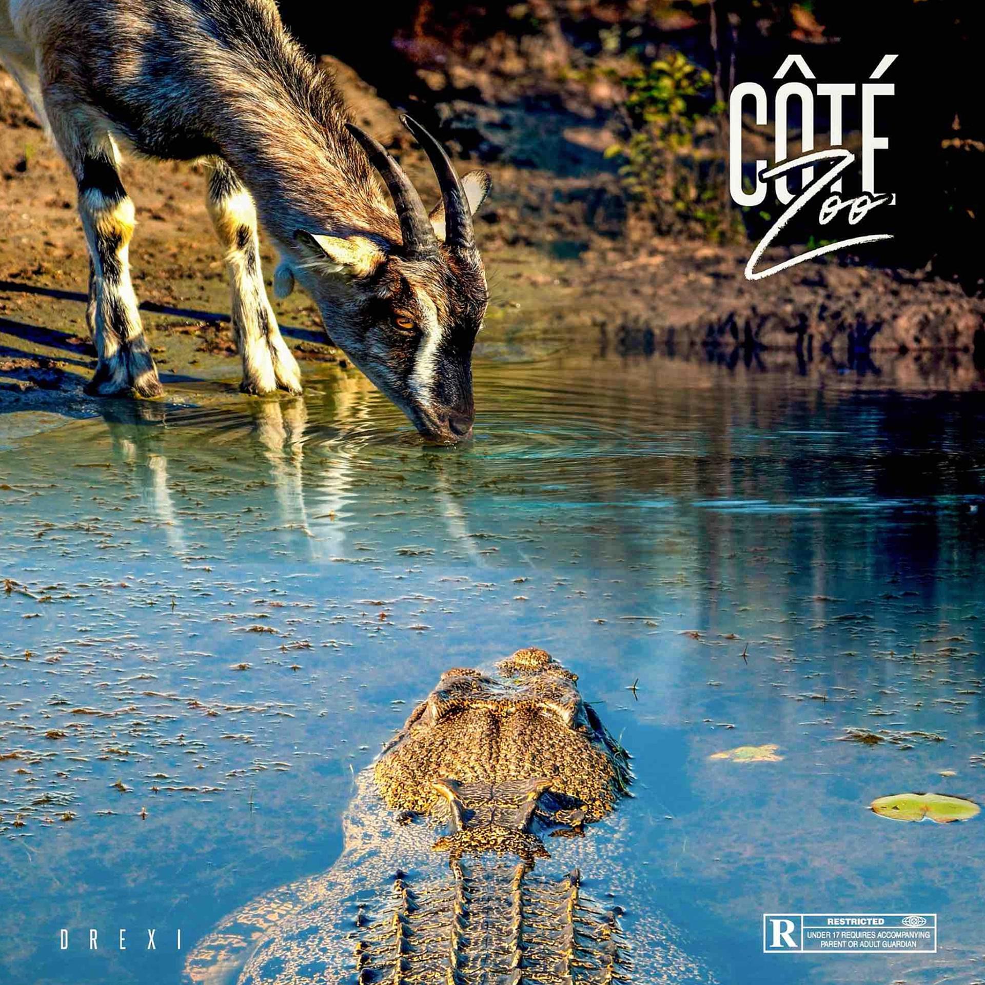 Постер альбома Côté Zoo