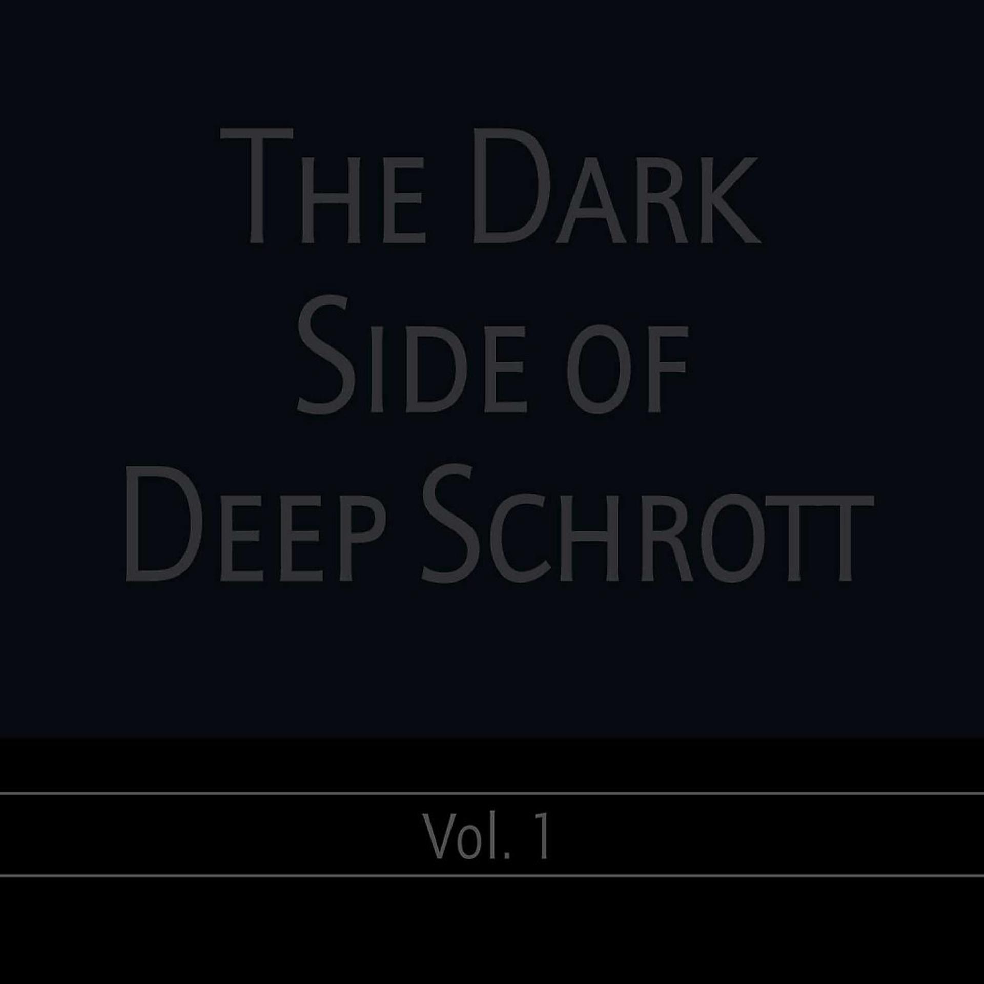 Постер альбома The Dark Side of Deep Schrott, Vol. 1