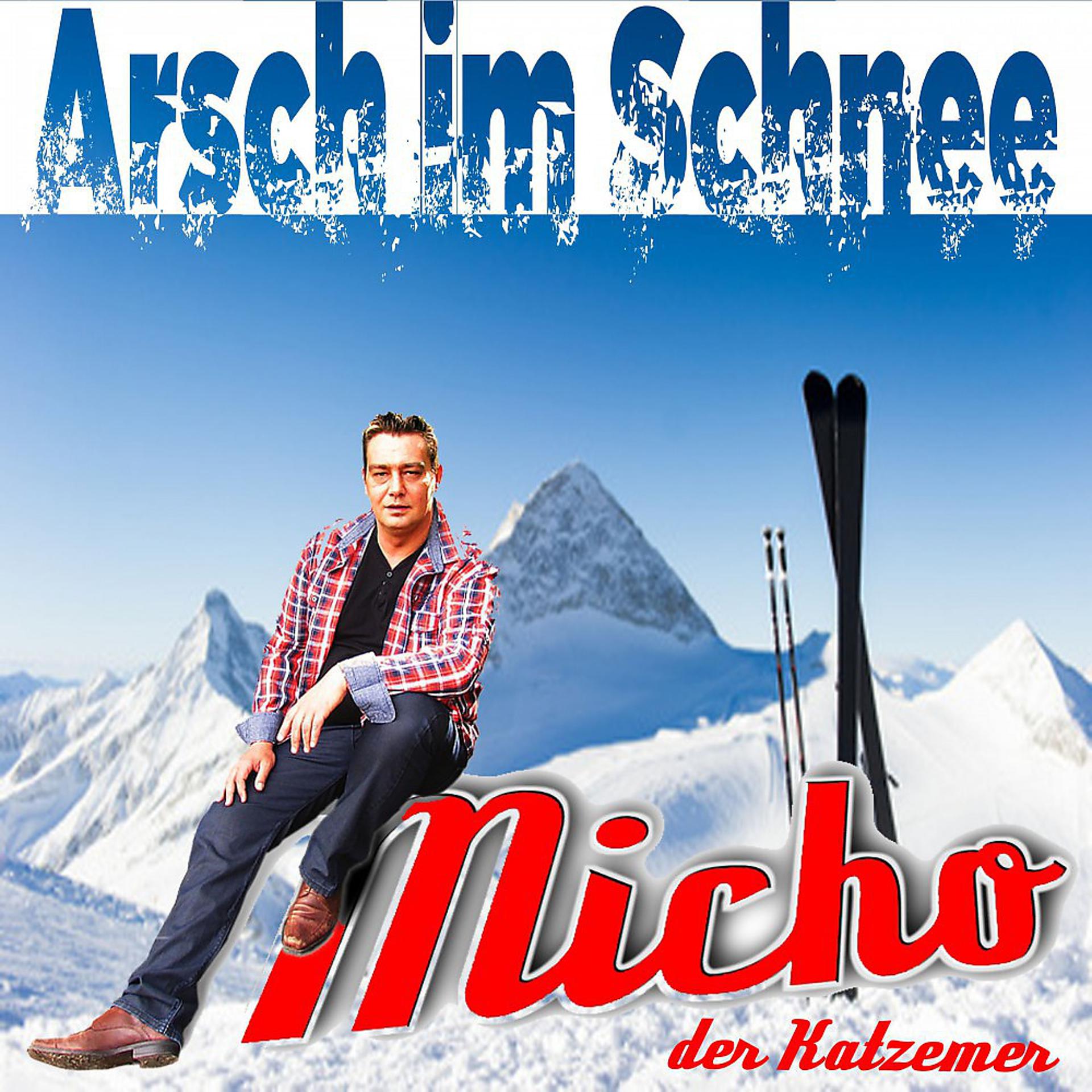 Постер альбома Arsch im Schnee