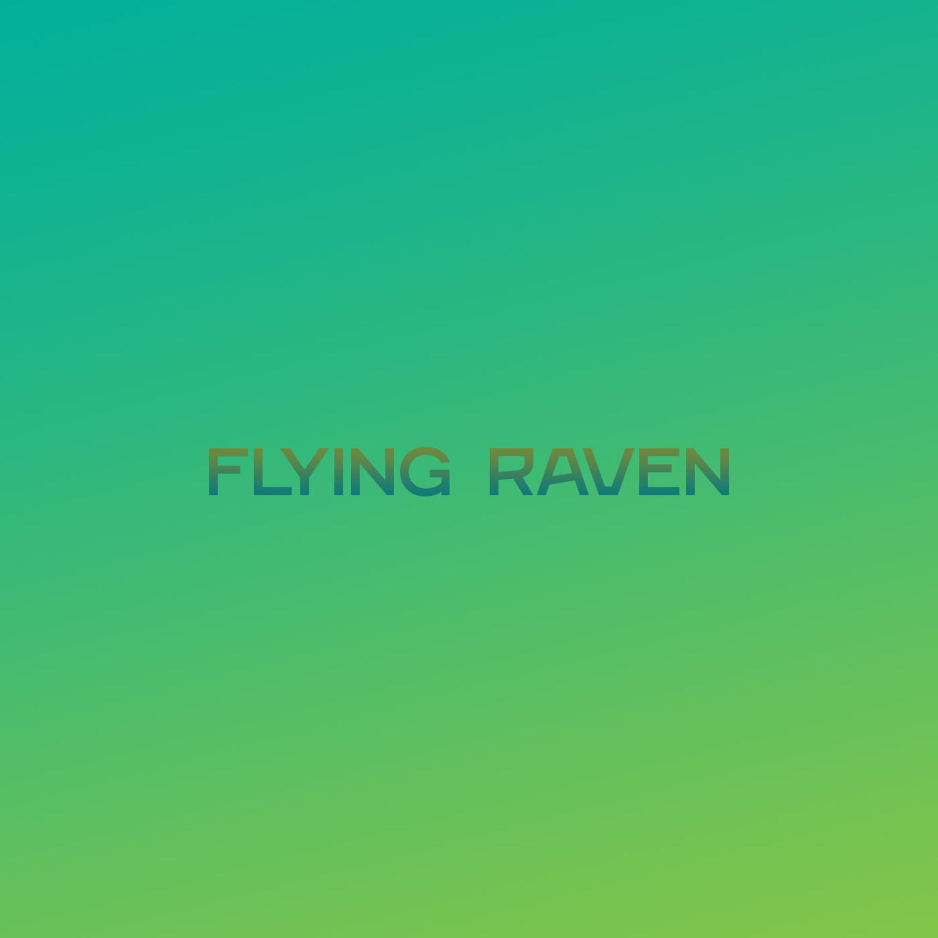 Постер альбома Flying Raven