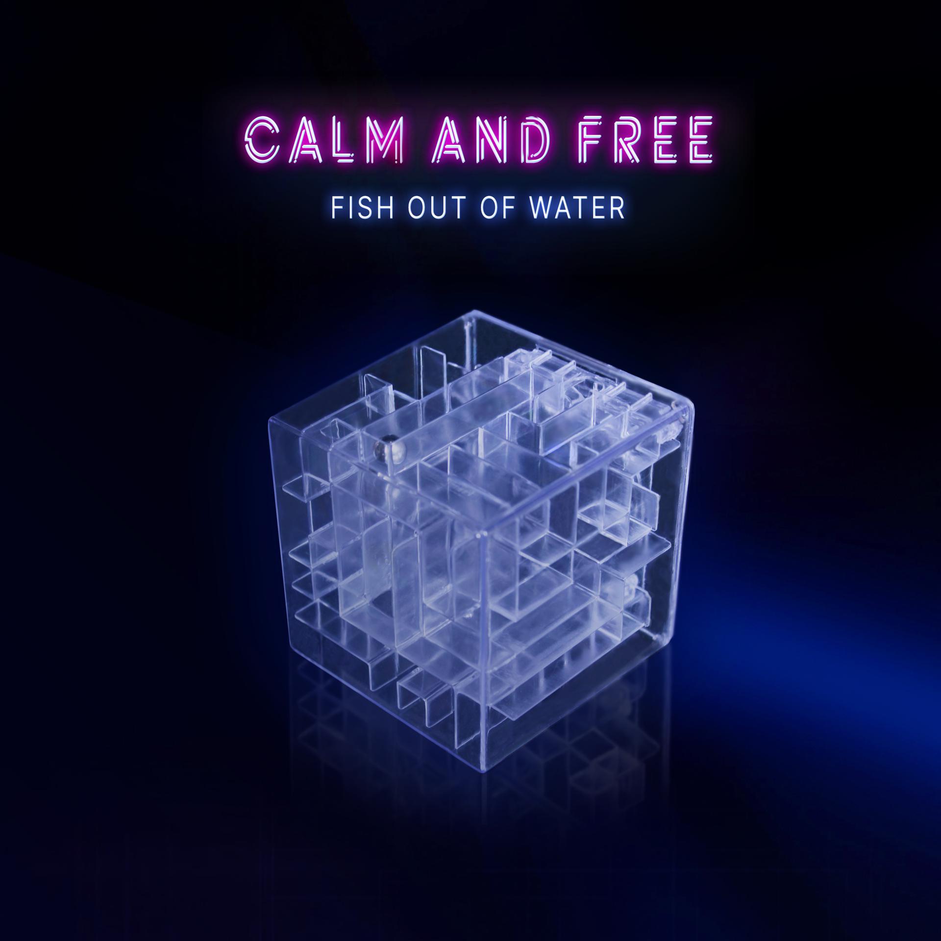 Постер альбома Calm and Free