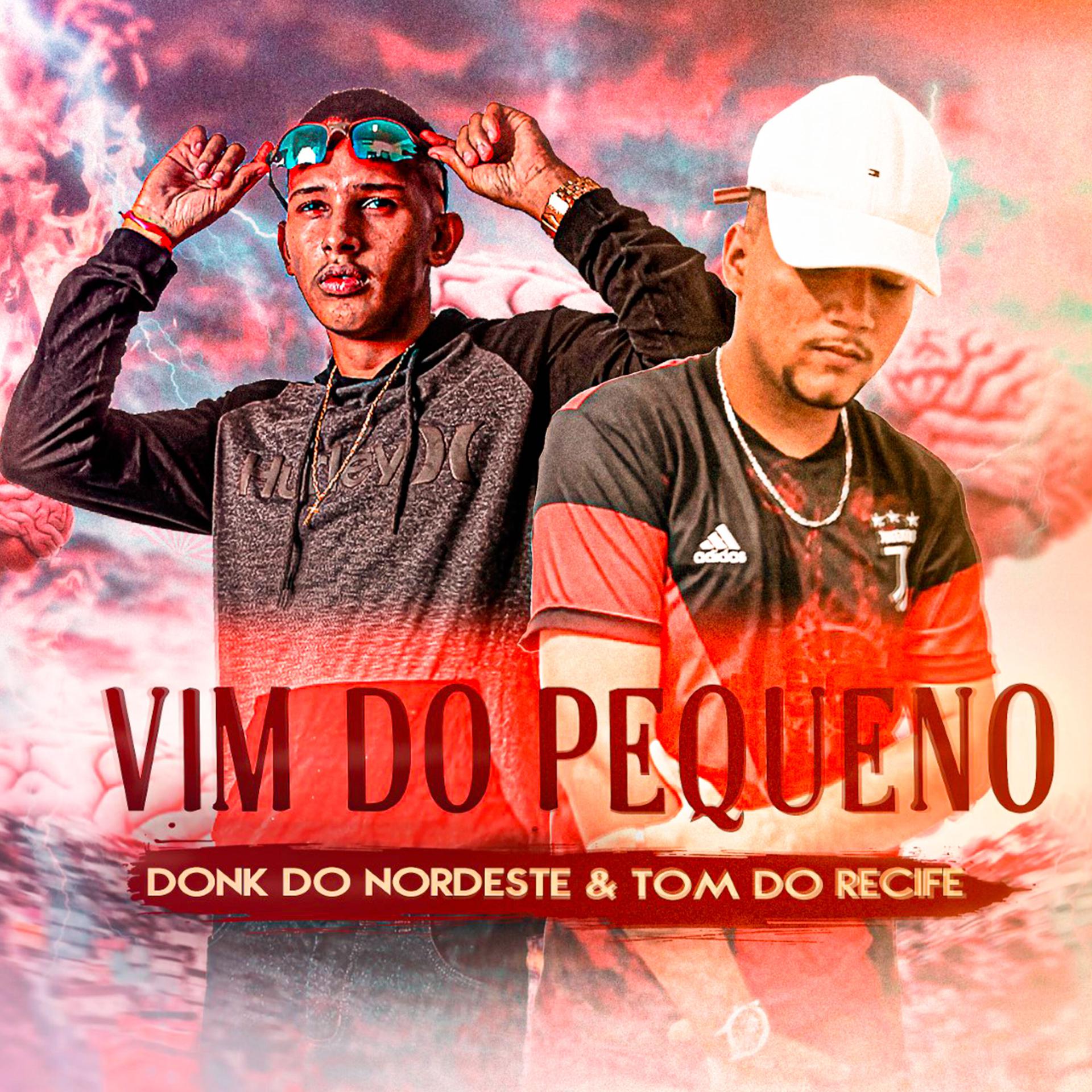 Постер альбома Vim do Pequeno