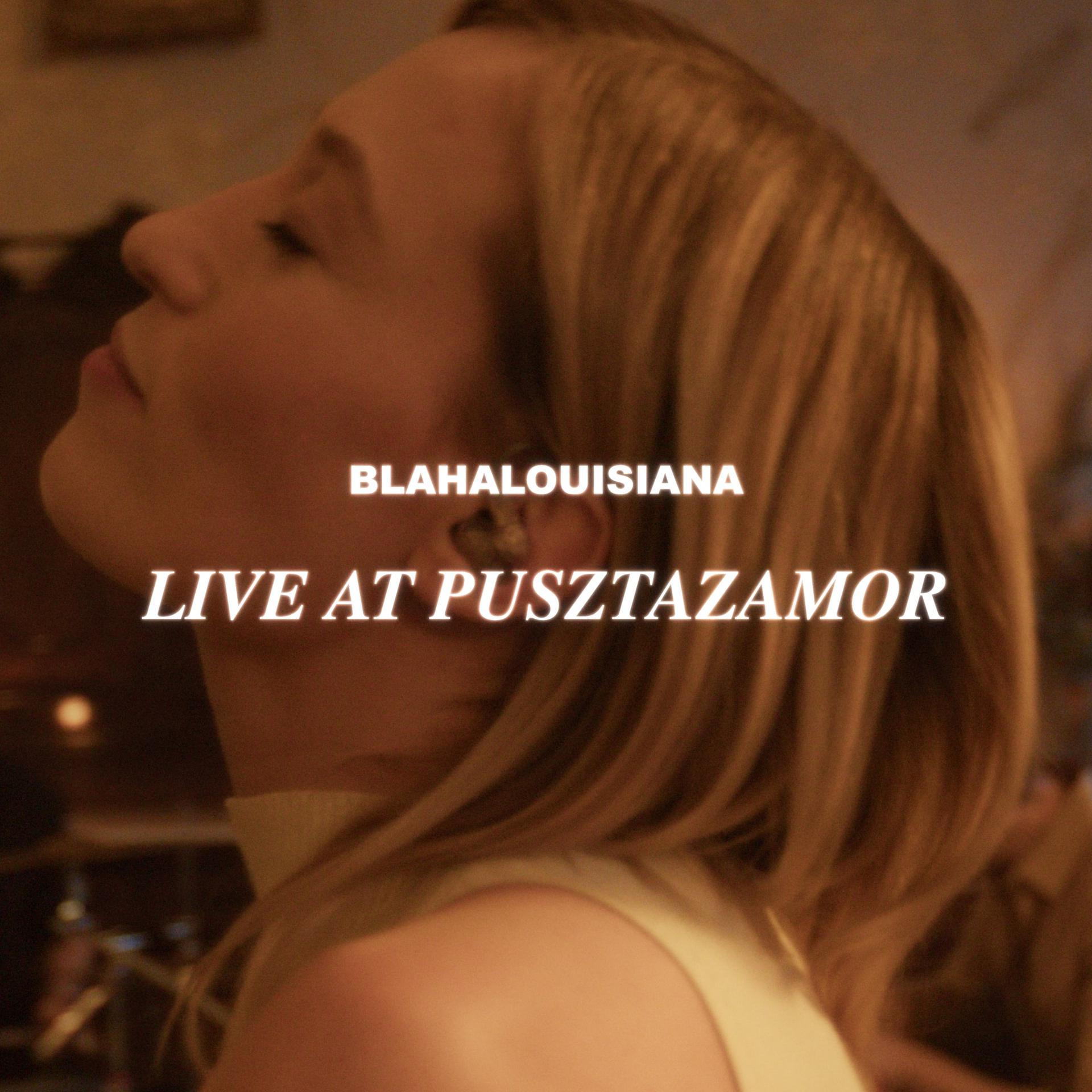 Постер альбома Live at Pusztazámor