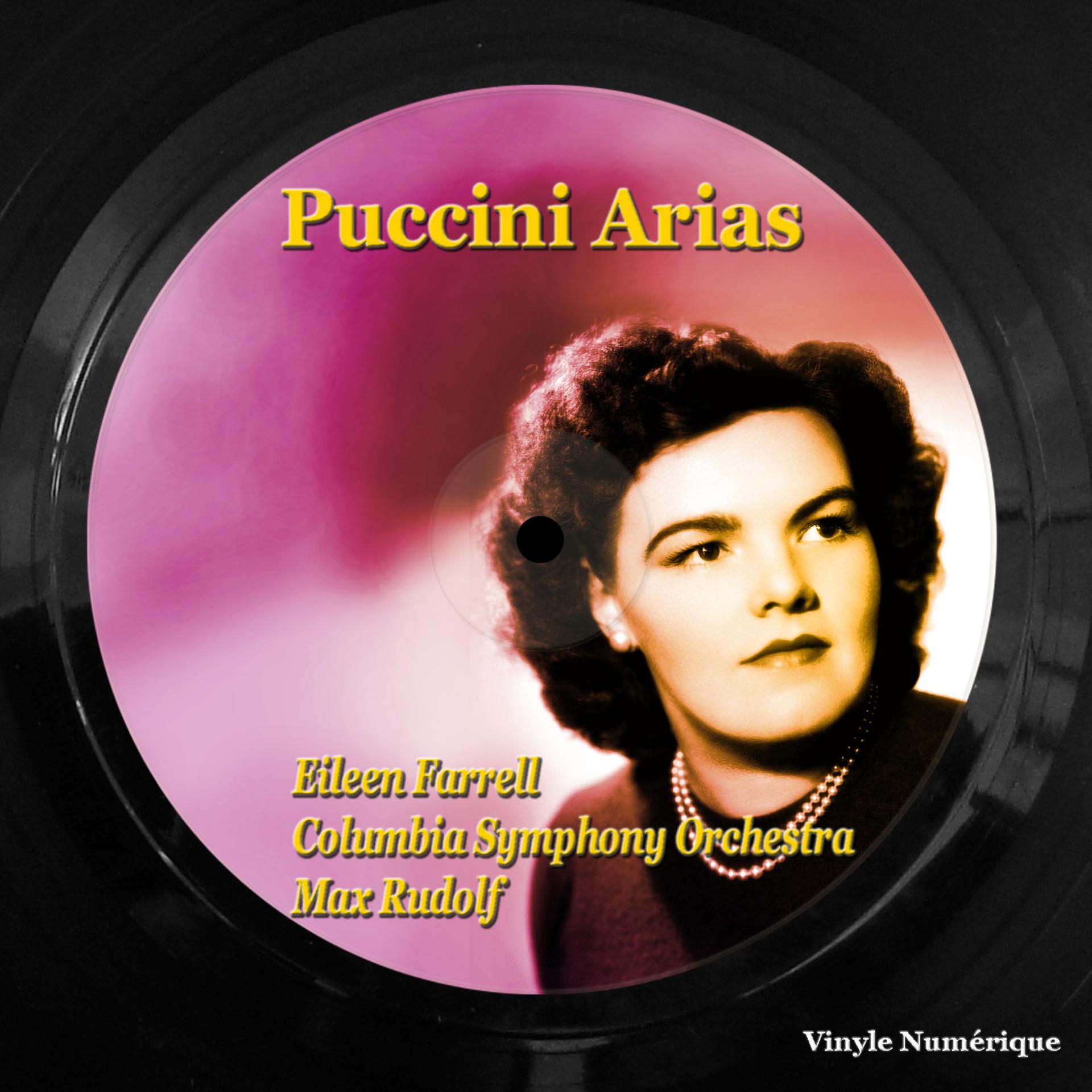 Постер альбома Puccini Arias