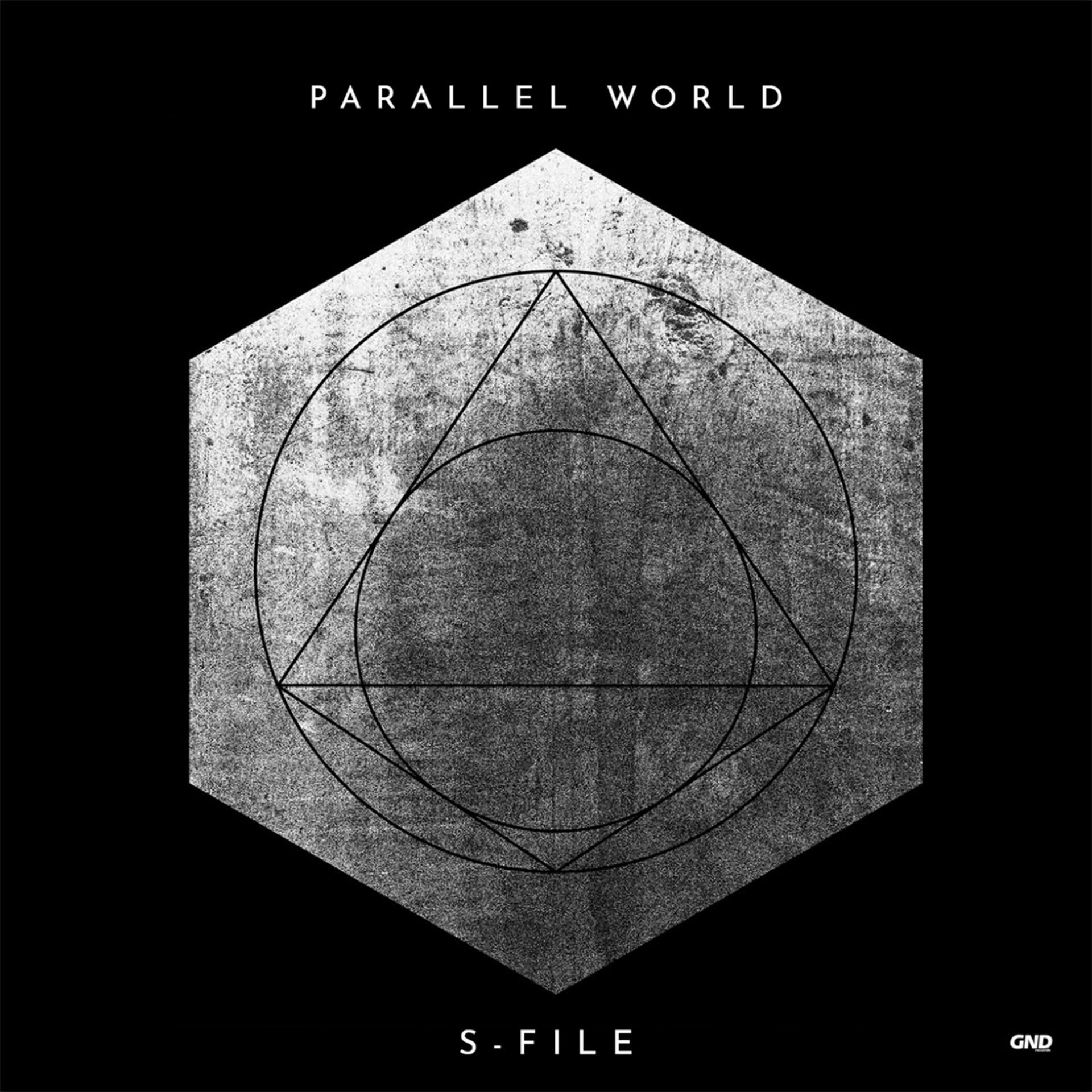 Постер альбома Parallel World