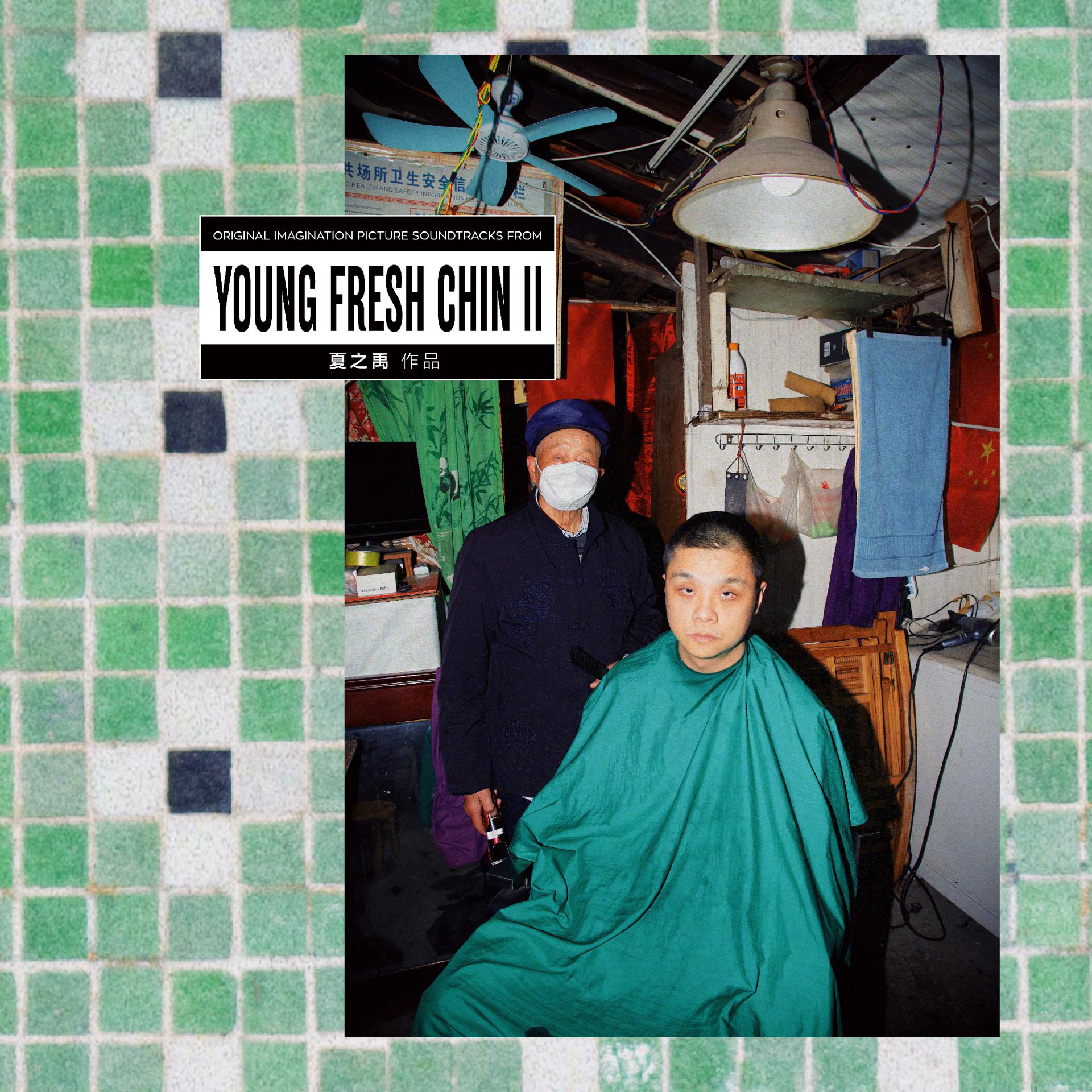 Постер альбома Young Fresh Chin II
