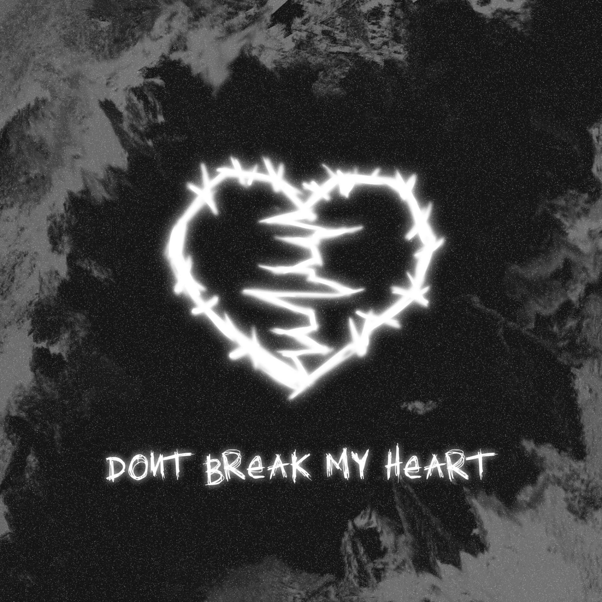 Постер альбома DONT BREAK MY HEART