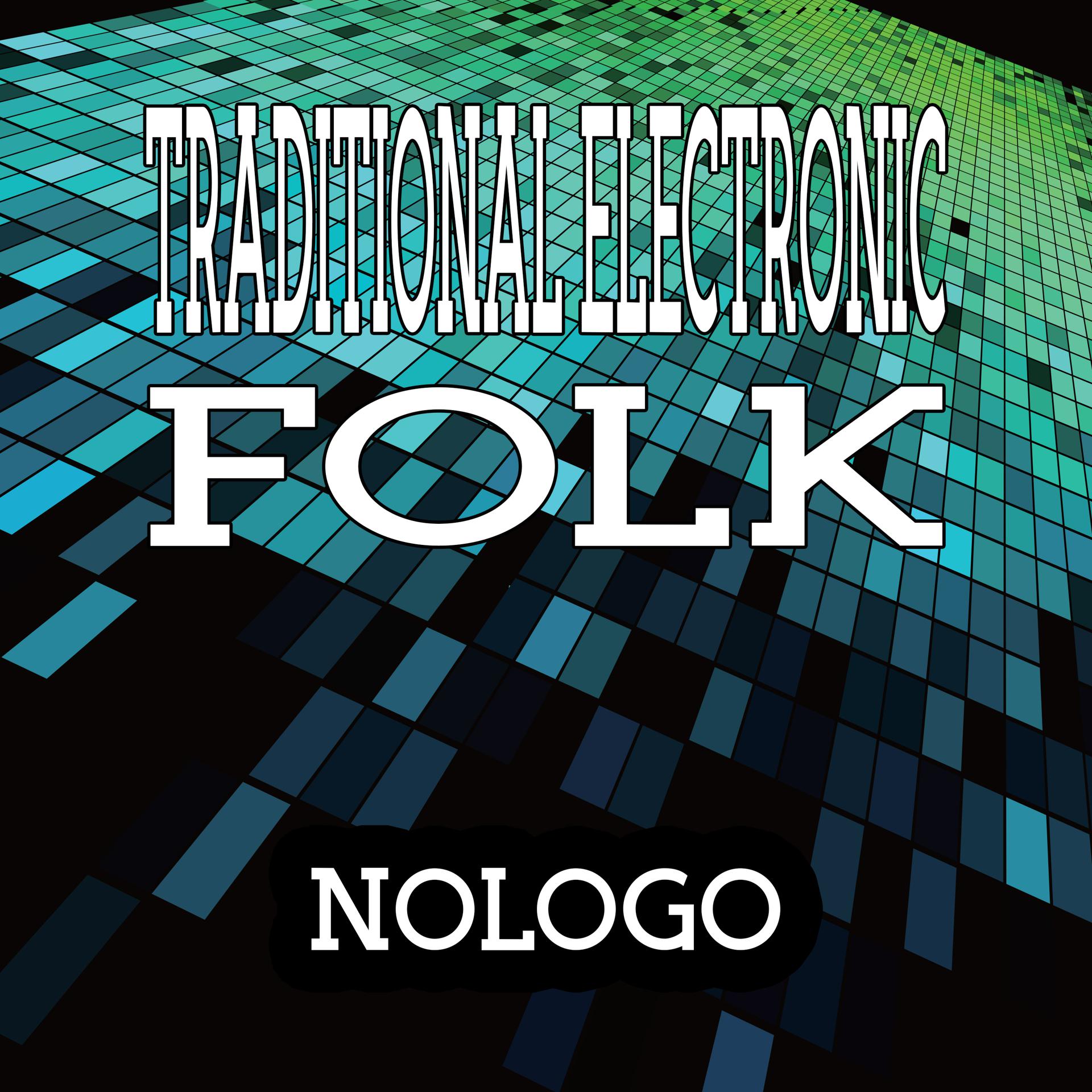 Постер альбома Traditional electronic folk