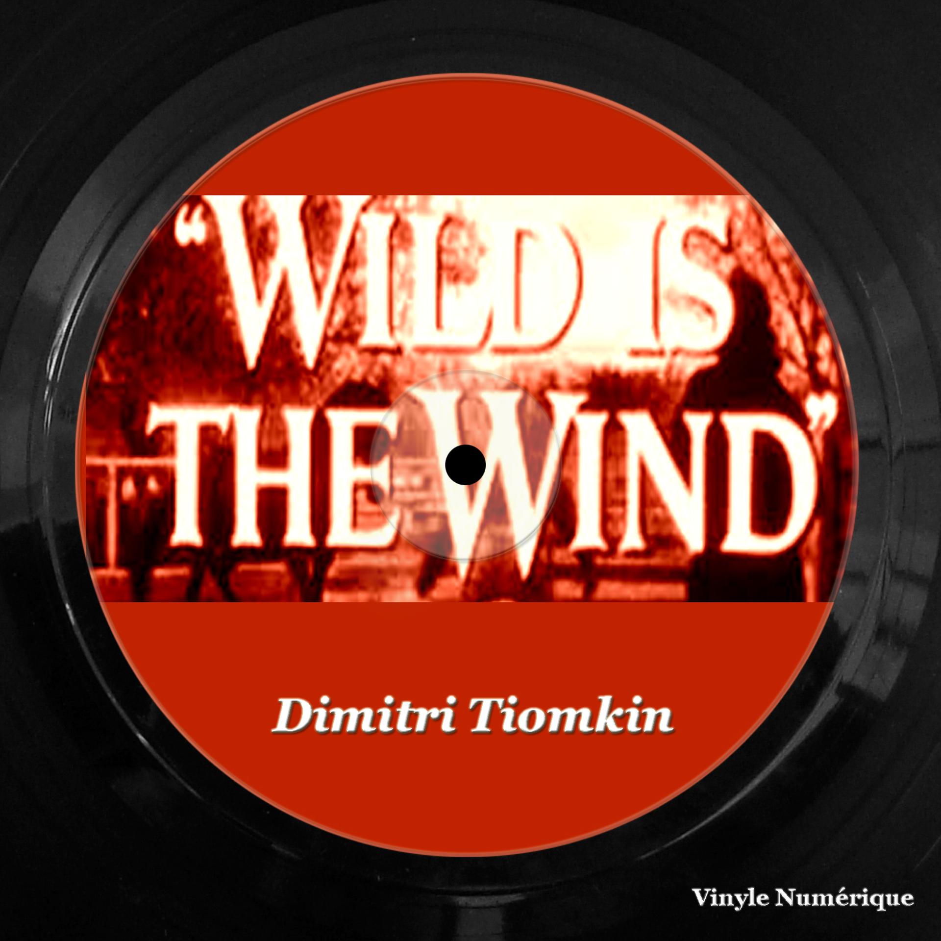 Постер альбома Wild Is The Wind