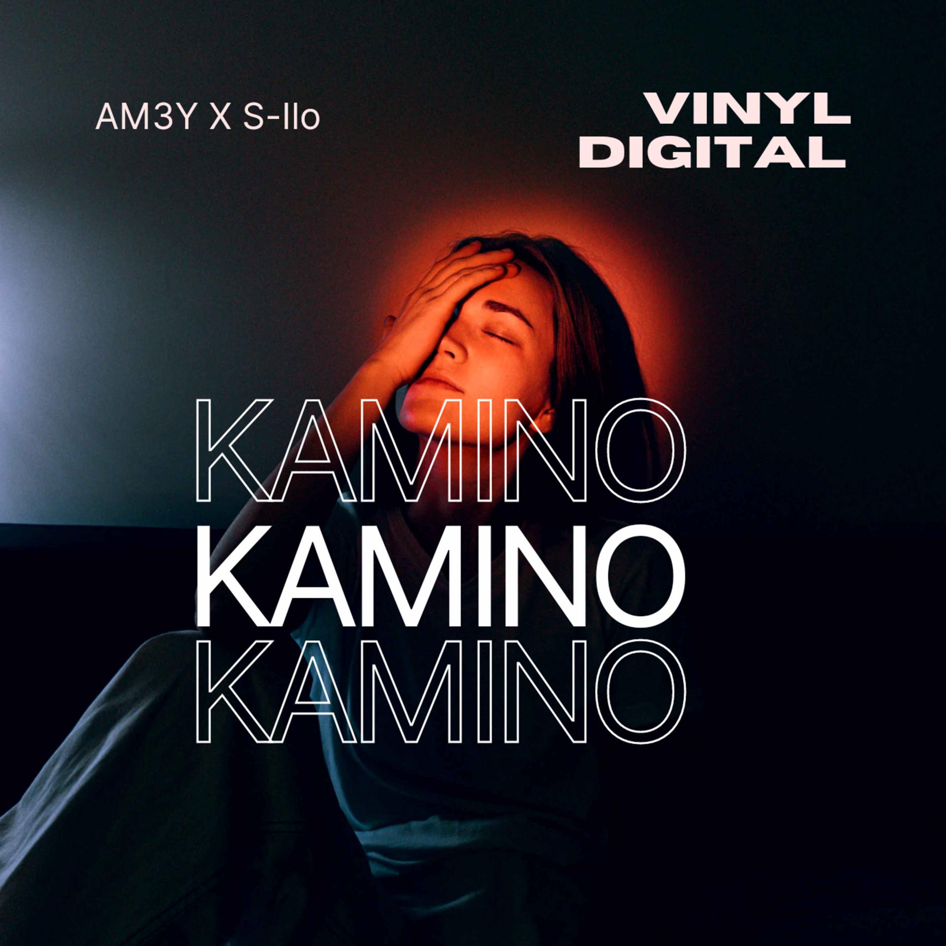 Постер альбома Kamino