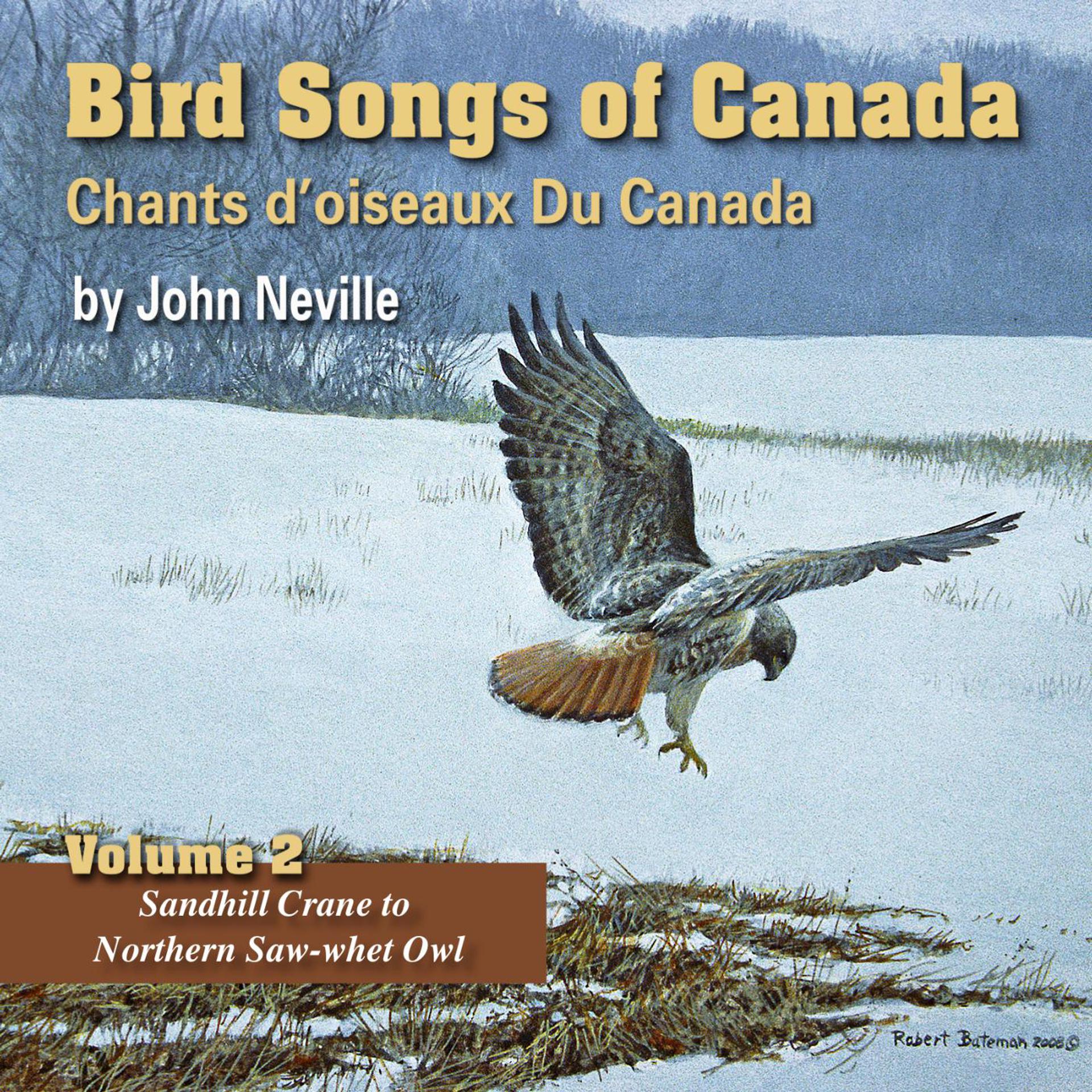 Постер альбома Bird Songs of Canada, Vol. 2