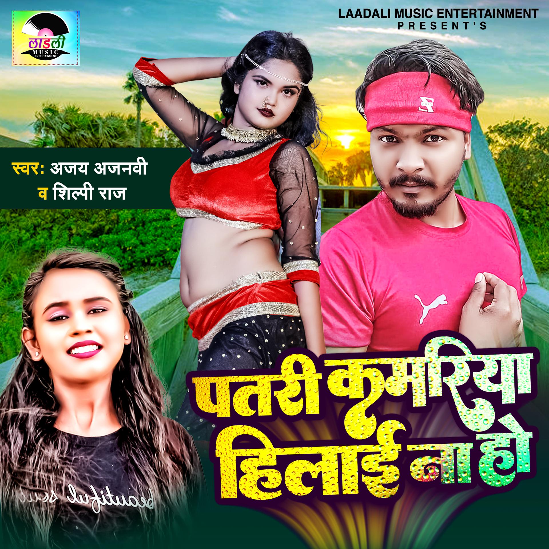Постер альбома Patari Kamariya Hilai Na Ho