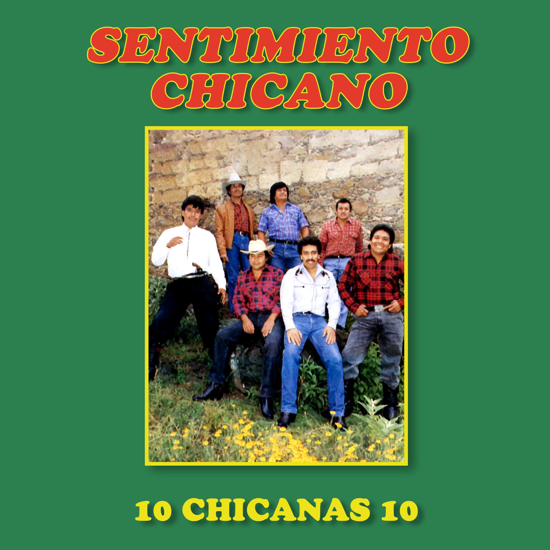 Постер альбома 10 Chicanas 10