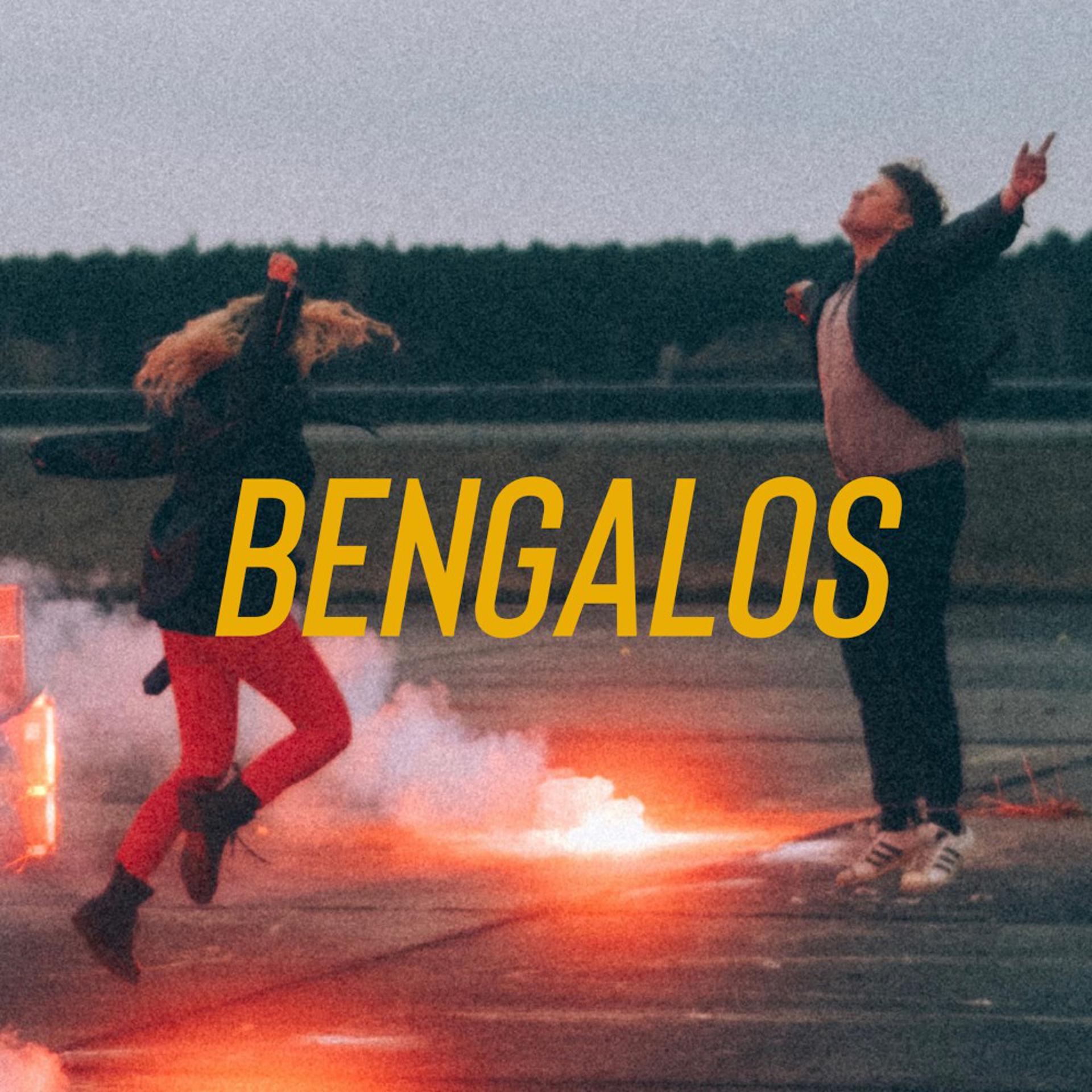 Постер альбома Bengalos