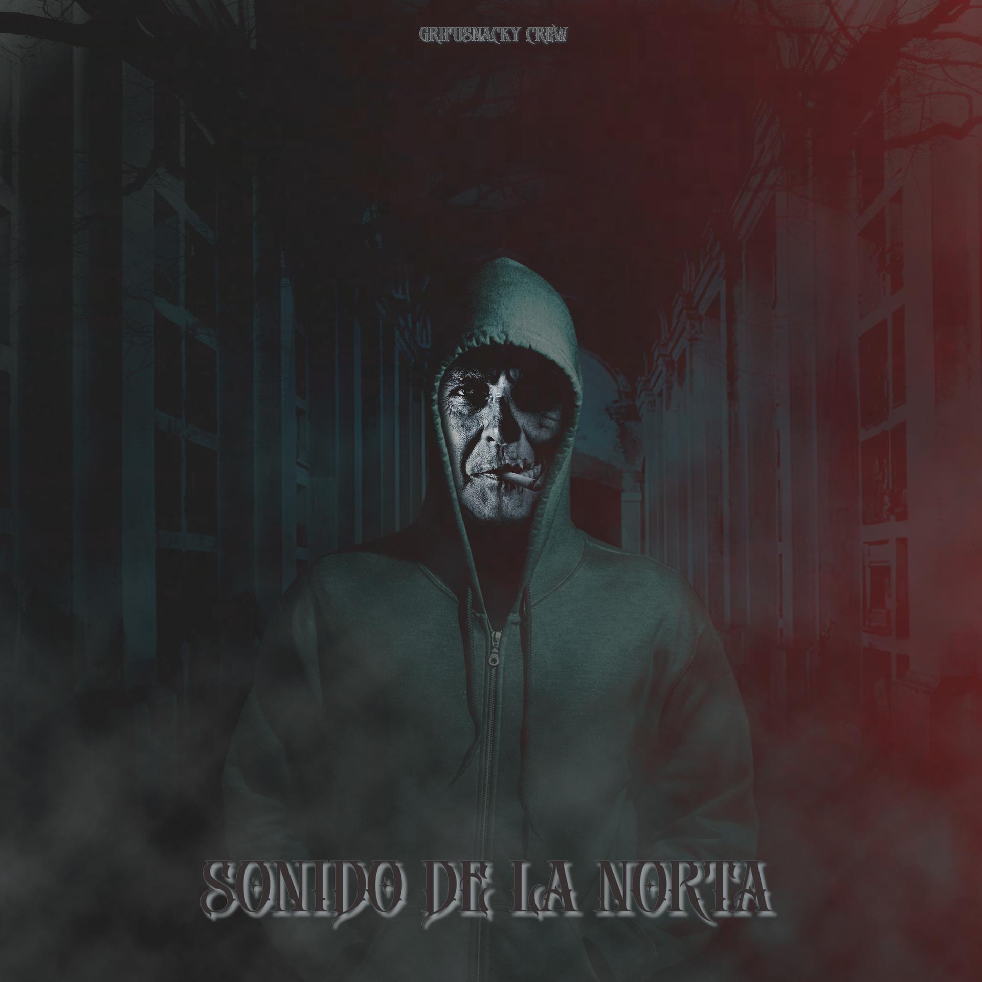 Постер альбома Sonido de la Norta