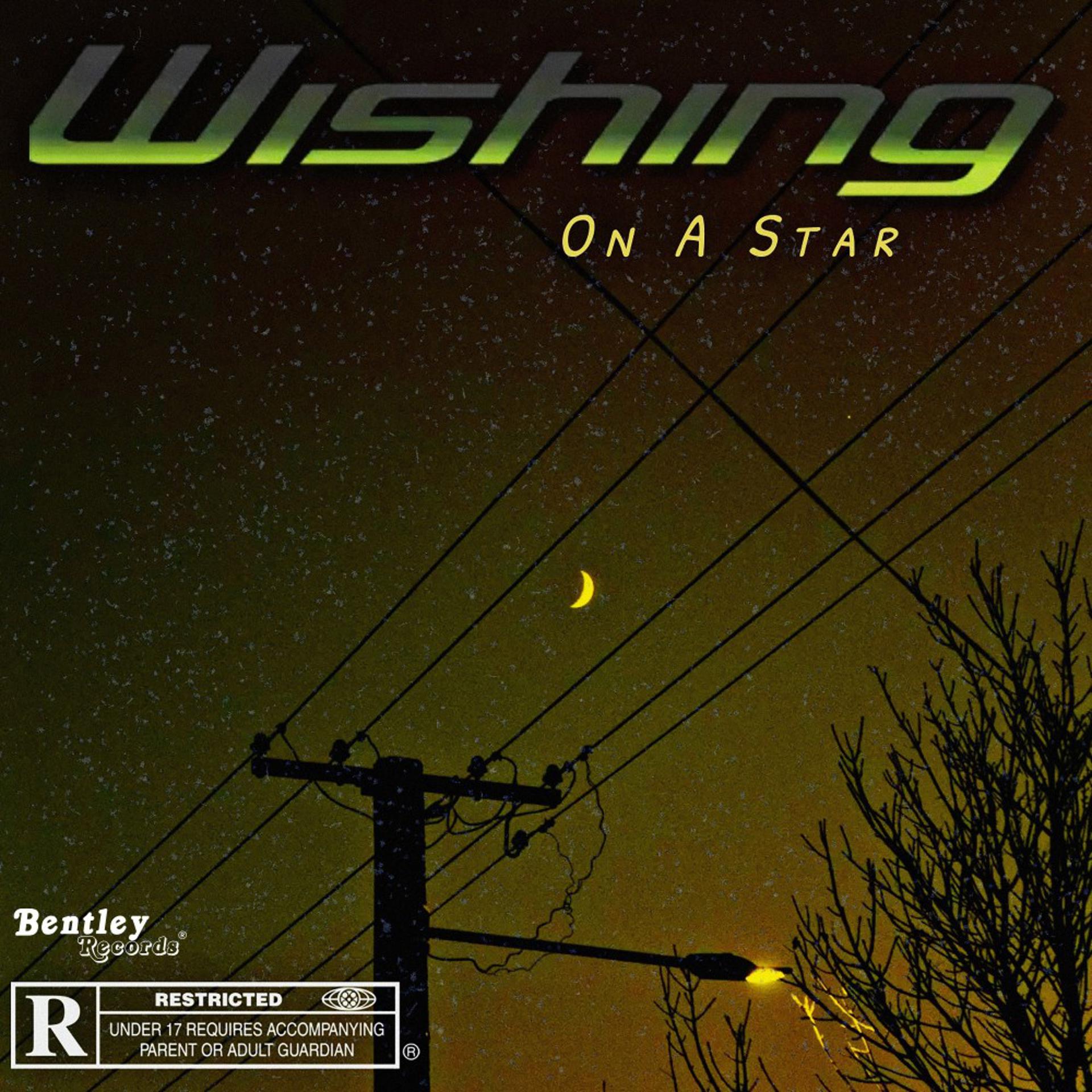 Постер альбома Wishing on a Star