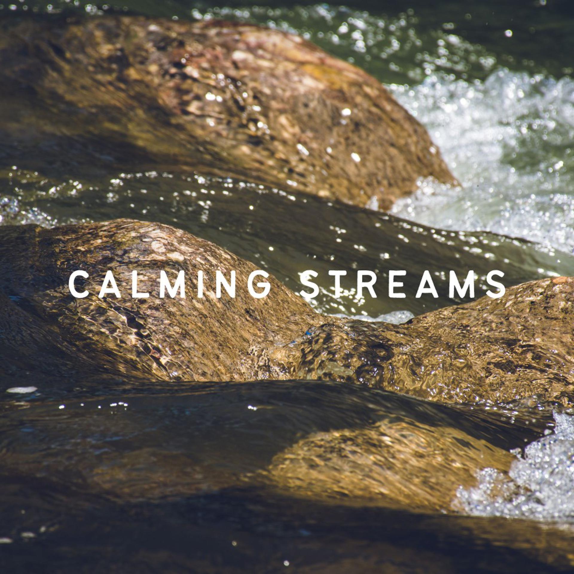 Постер альбома Calming Streams