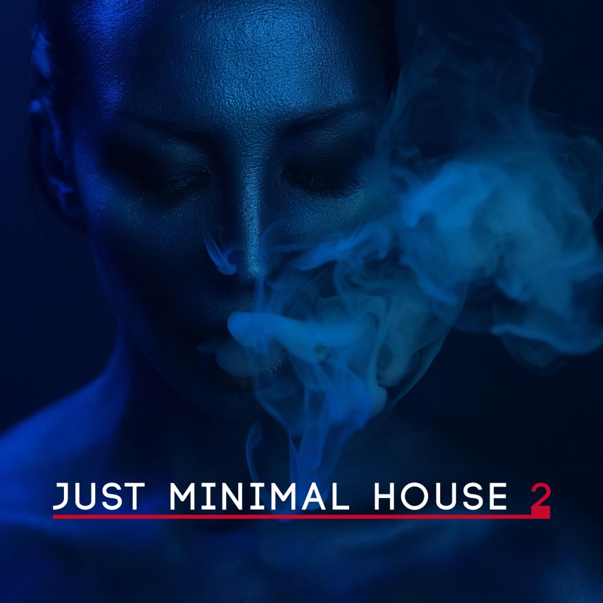 Постер альбома Just Minimal House, Vol. 2