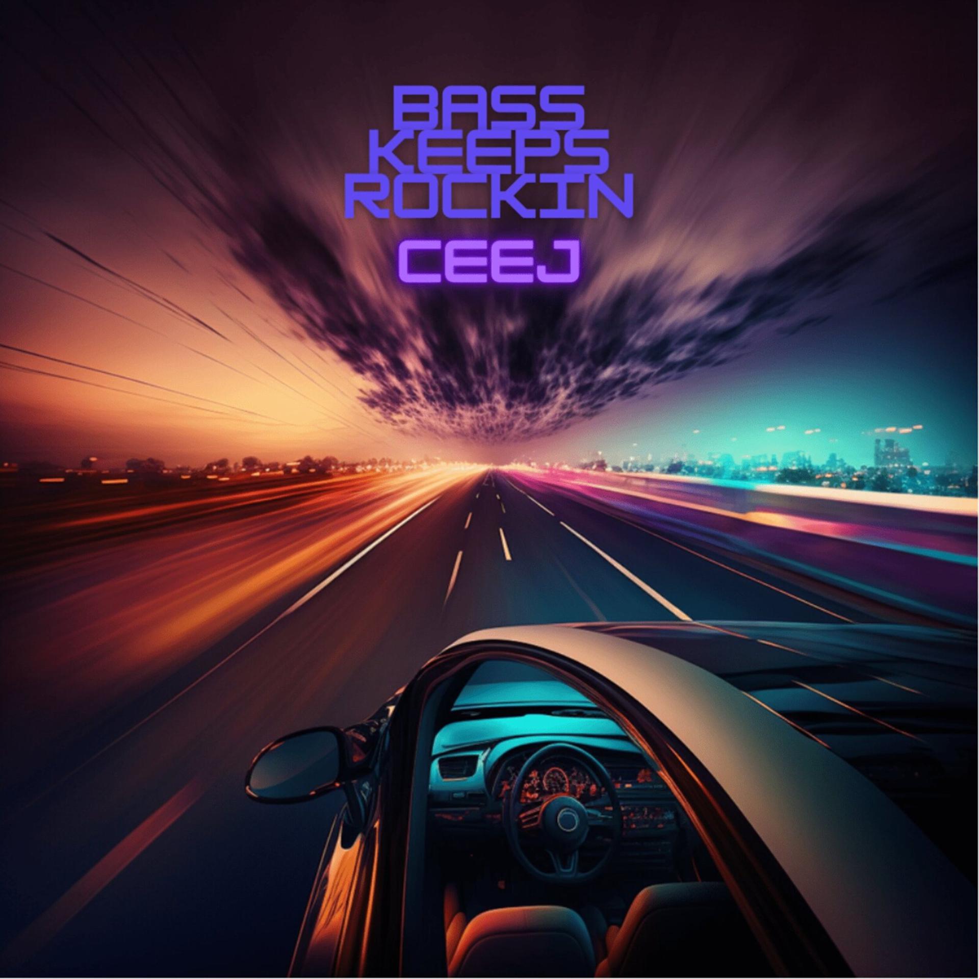 Постер альбома Bass Keeps Rockin