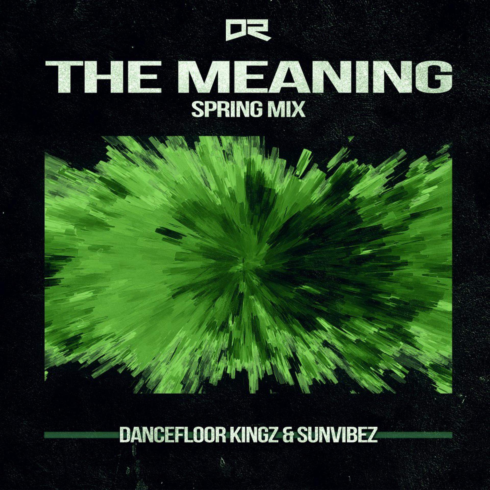 Постер альбома The Meaning (Spring Mix)