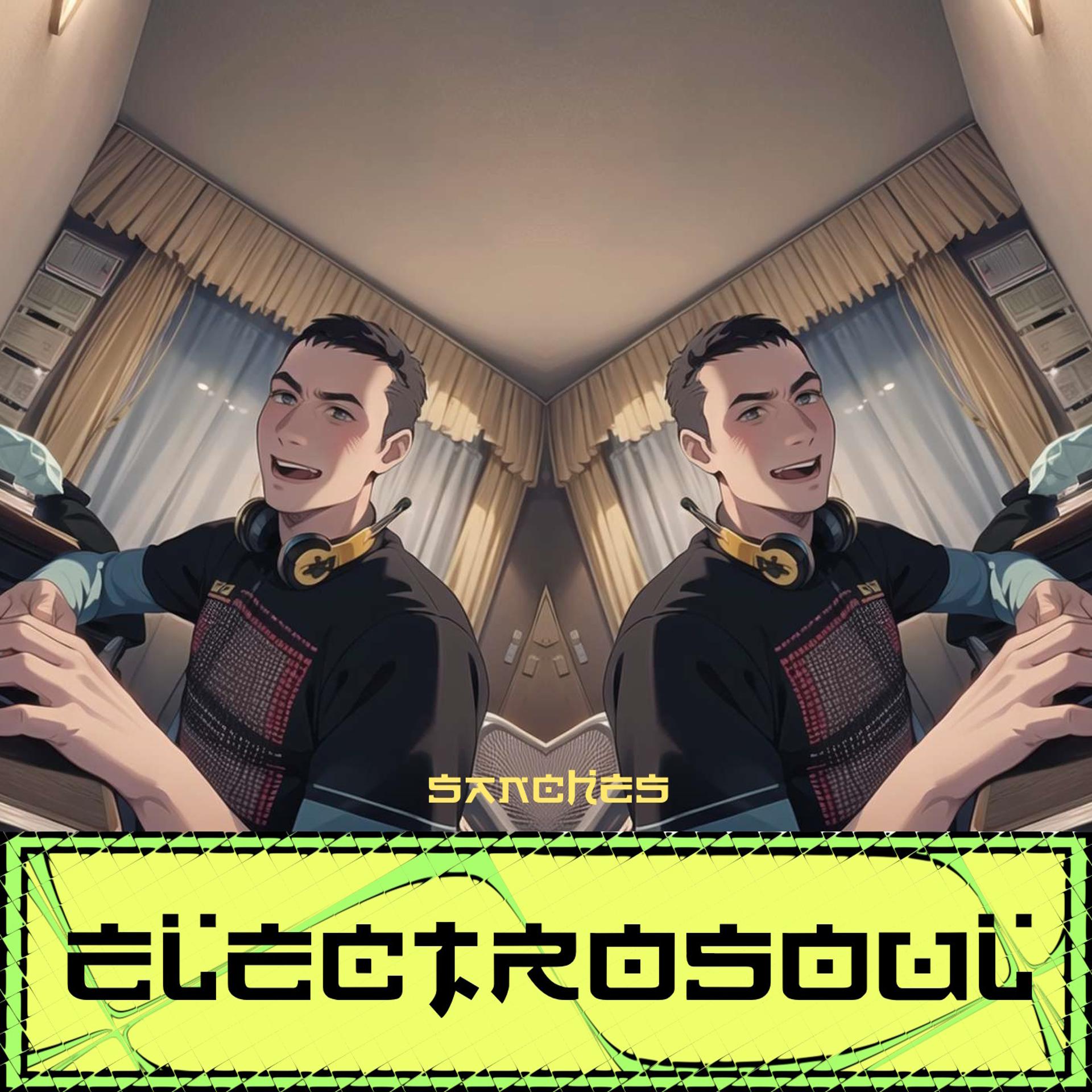 Постер альбома Electrosoul